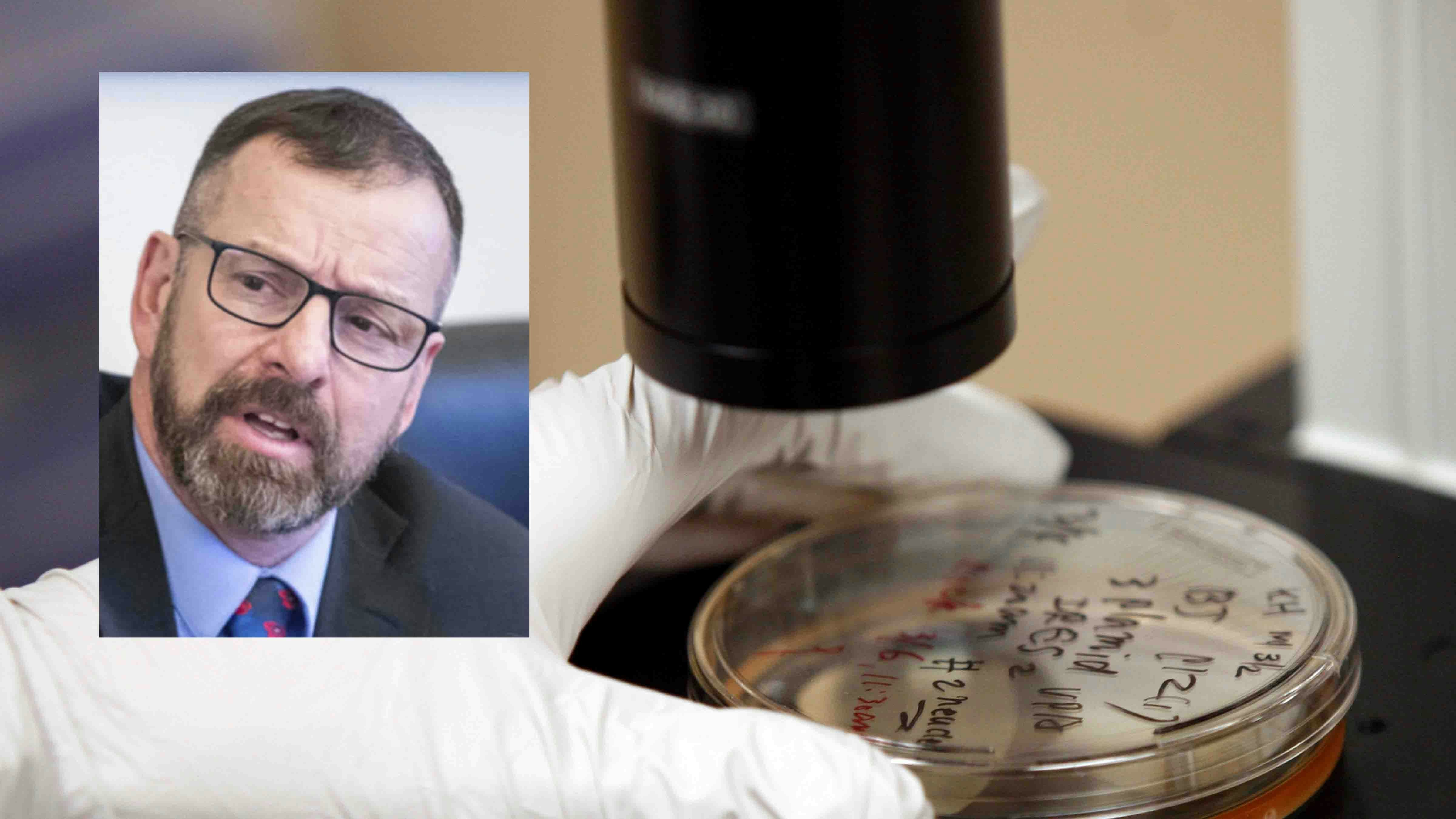 Barlow stem cell 1 28 26