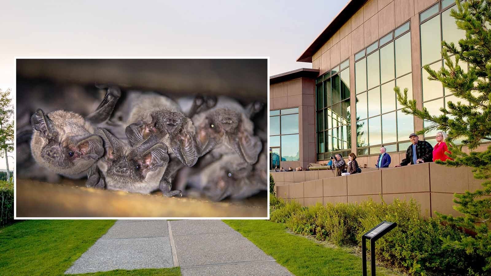State health officials are still looking for hundreds of people from 38 states and seven countries potentially exposed to rabies while staying at a lodge in Grand Teton National Park. A bat colony infected with the disease was found in the attic.