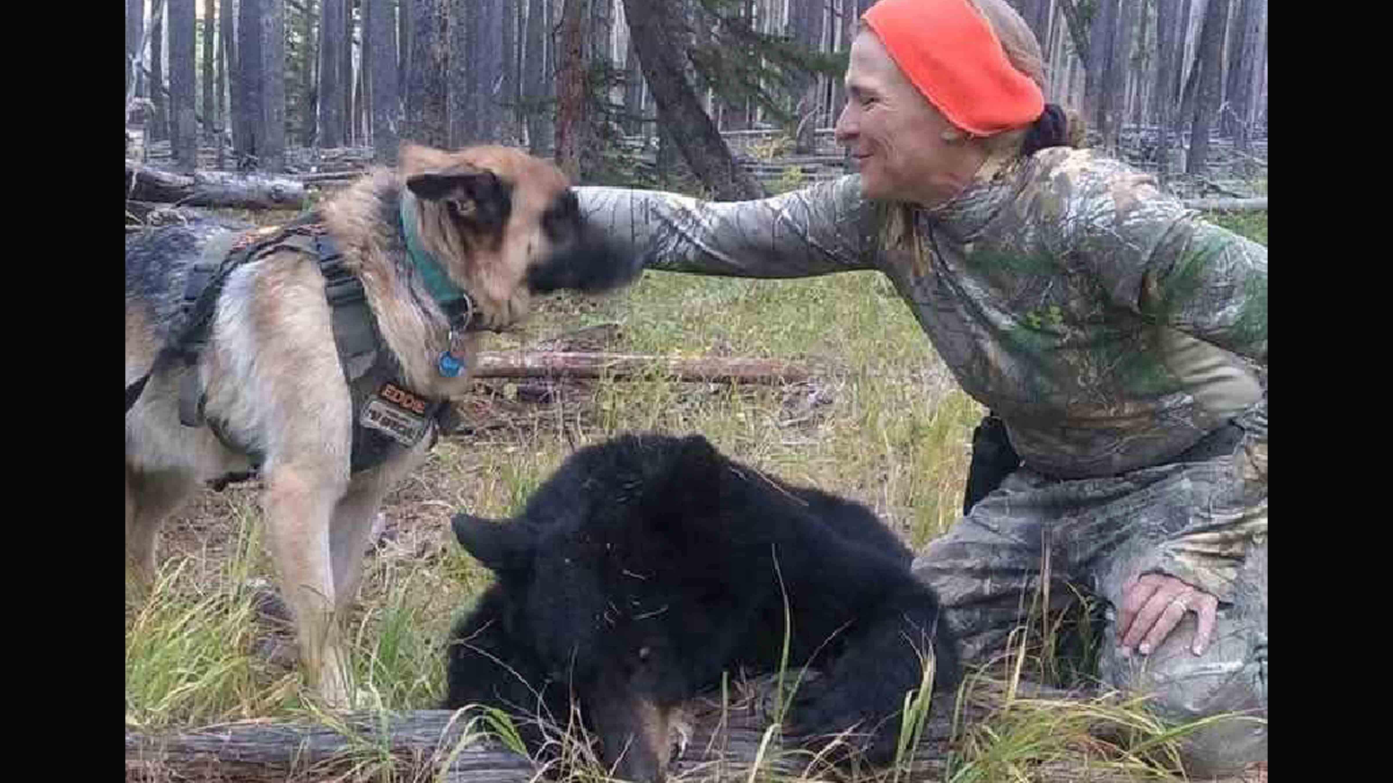Avid black bear hunter Julie Mccalllister of Rock River used her German Shepard, Eddie, to track bears she shot, before that was made illegal. A bill before the Wyoming Legislature would make it legal again.