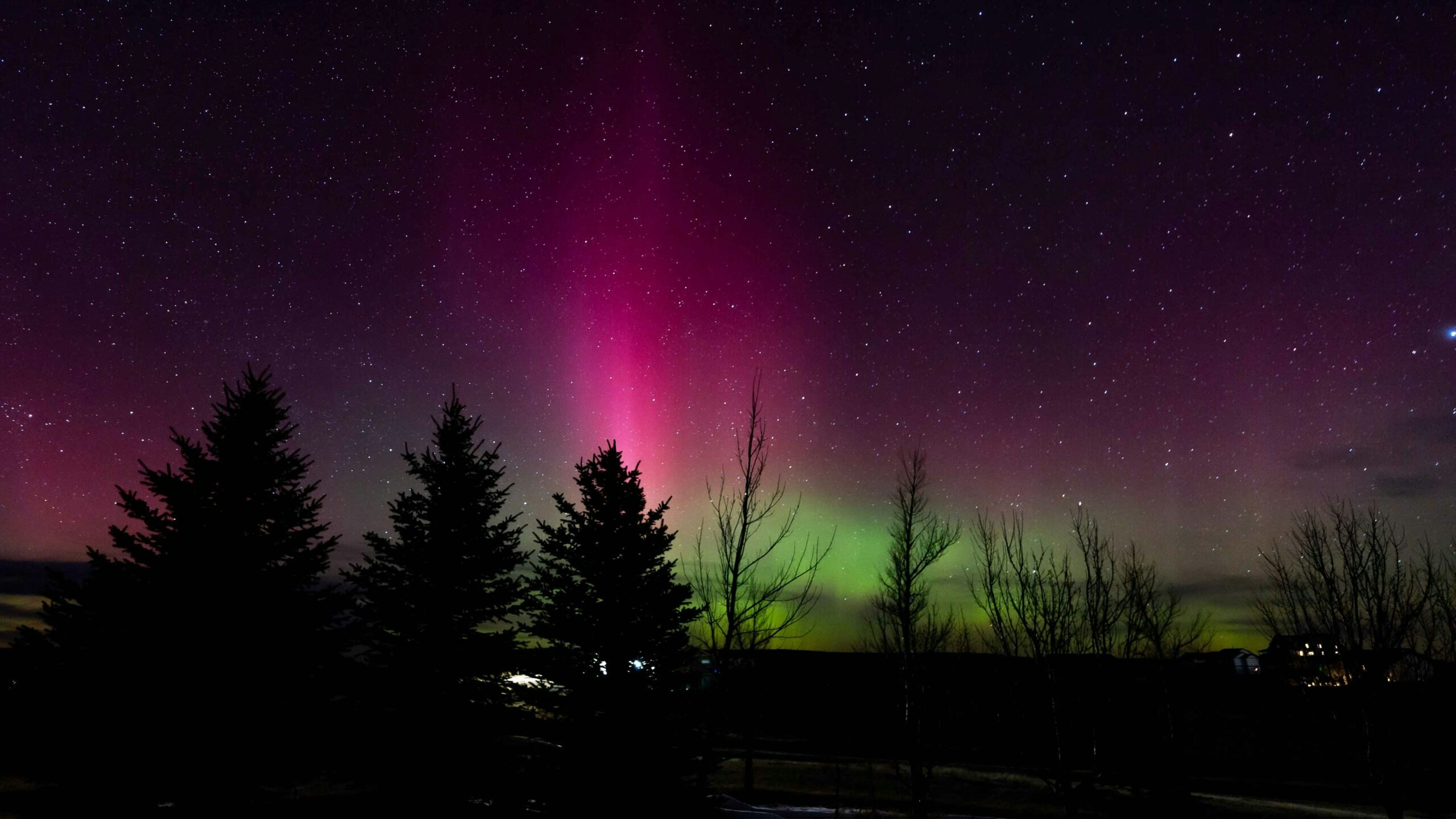 Bear paw ranch northern light 3 24 23 scaled