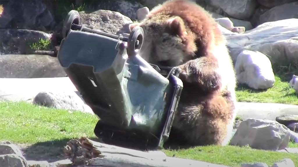 Bear proof trash can v3 1 23 23 1024x576 1