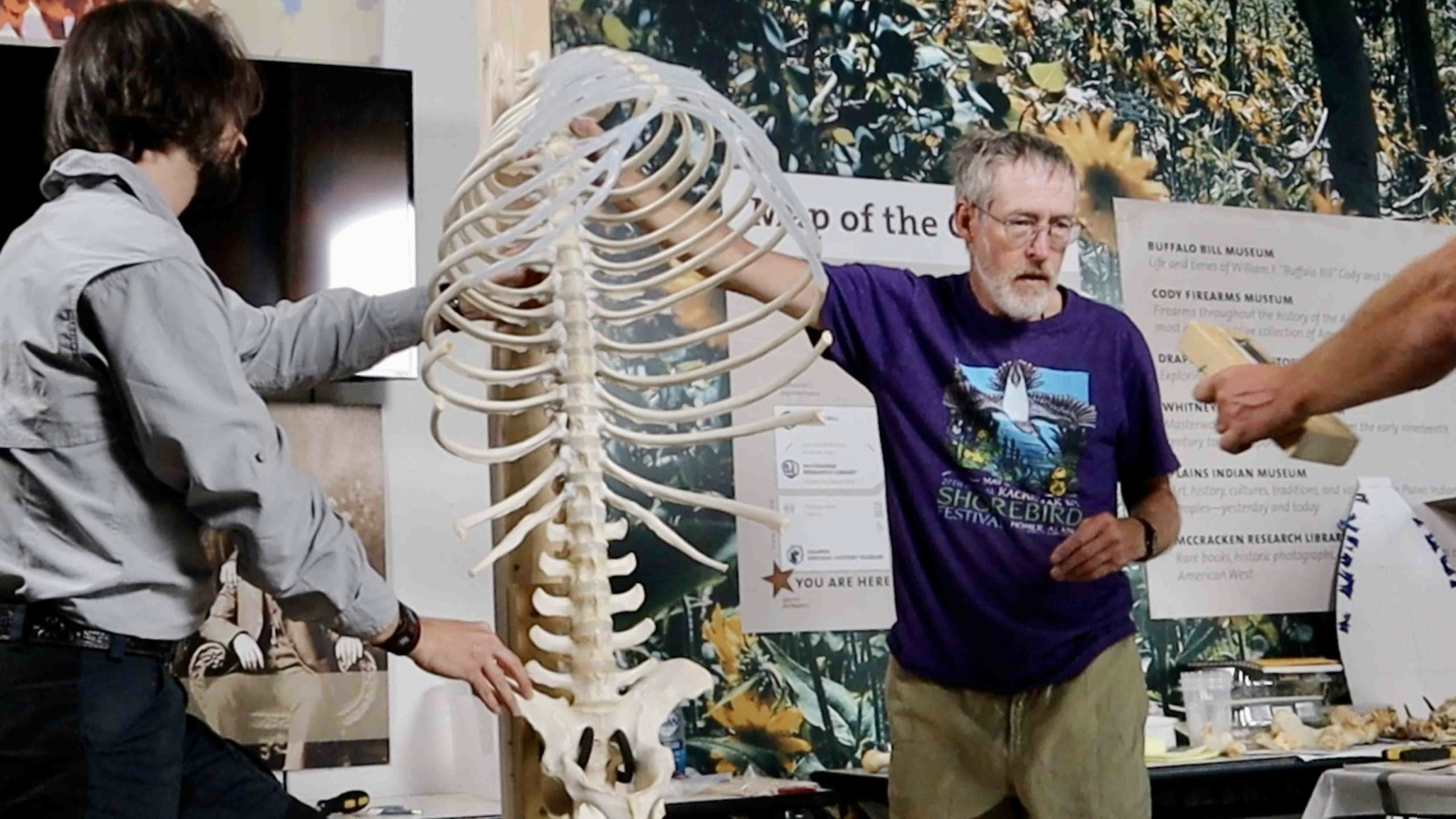 Bear skeleton 1 7 6 22 scaled