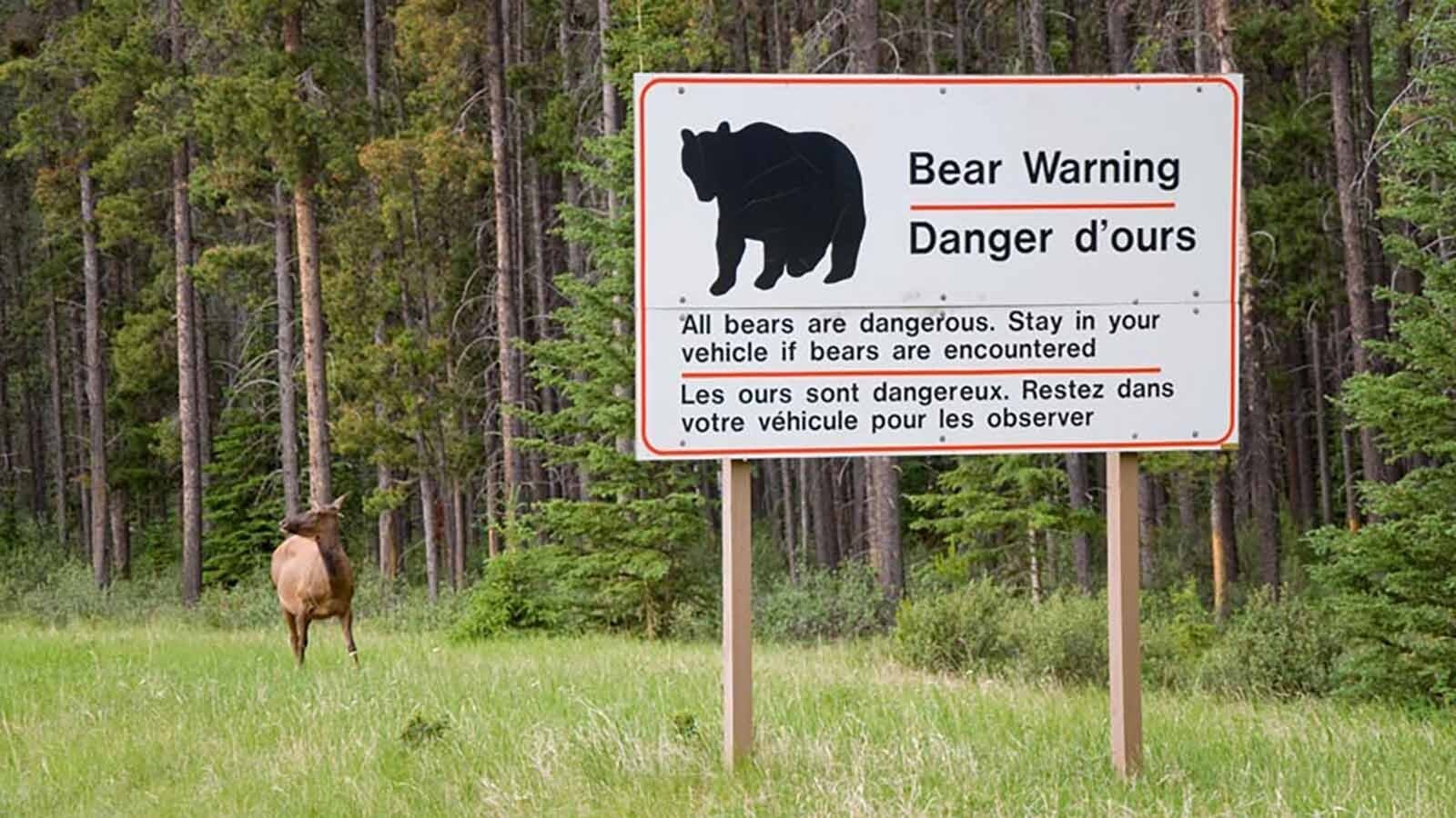 A rare “bear warning” has been issued for roughly 2,500 square miles in Canada amid reports of grizzlies bluff-charging people. A Canadian bear expert said bear trouble usually stems from stupid human behavior.