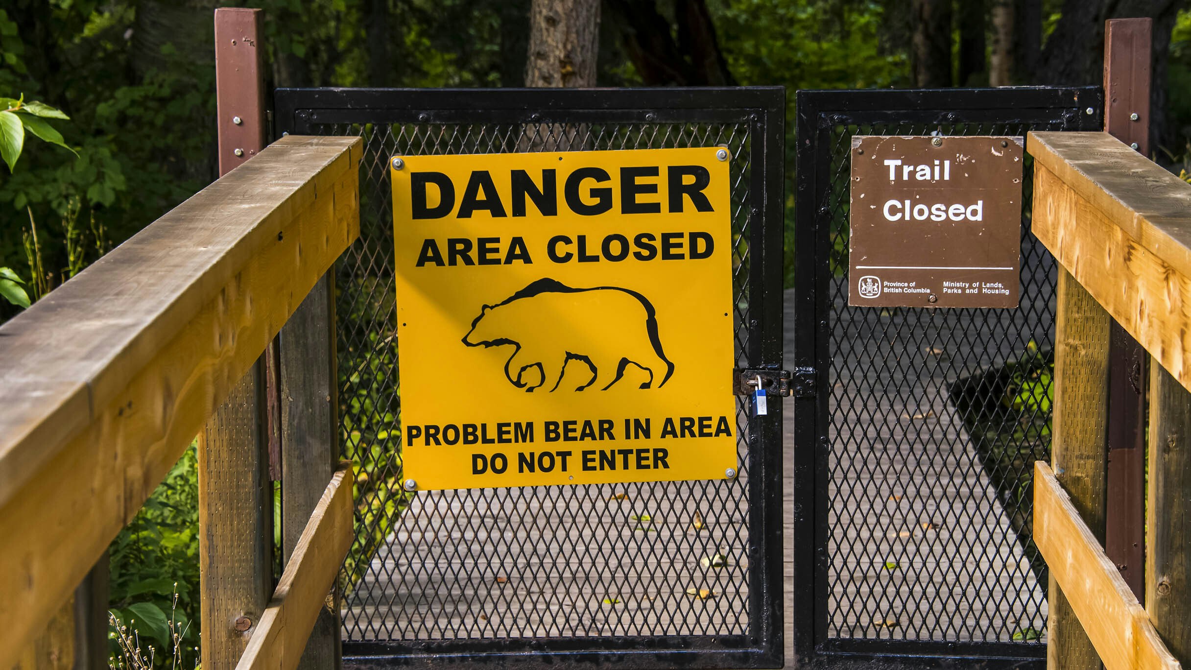 Bear warning sign