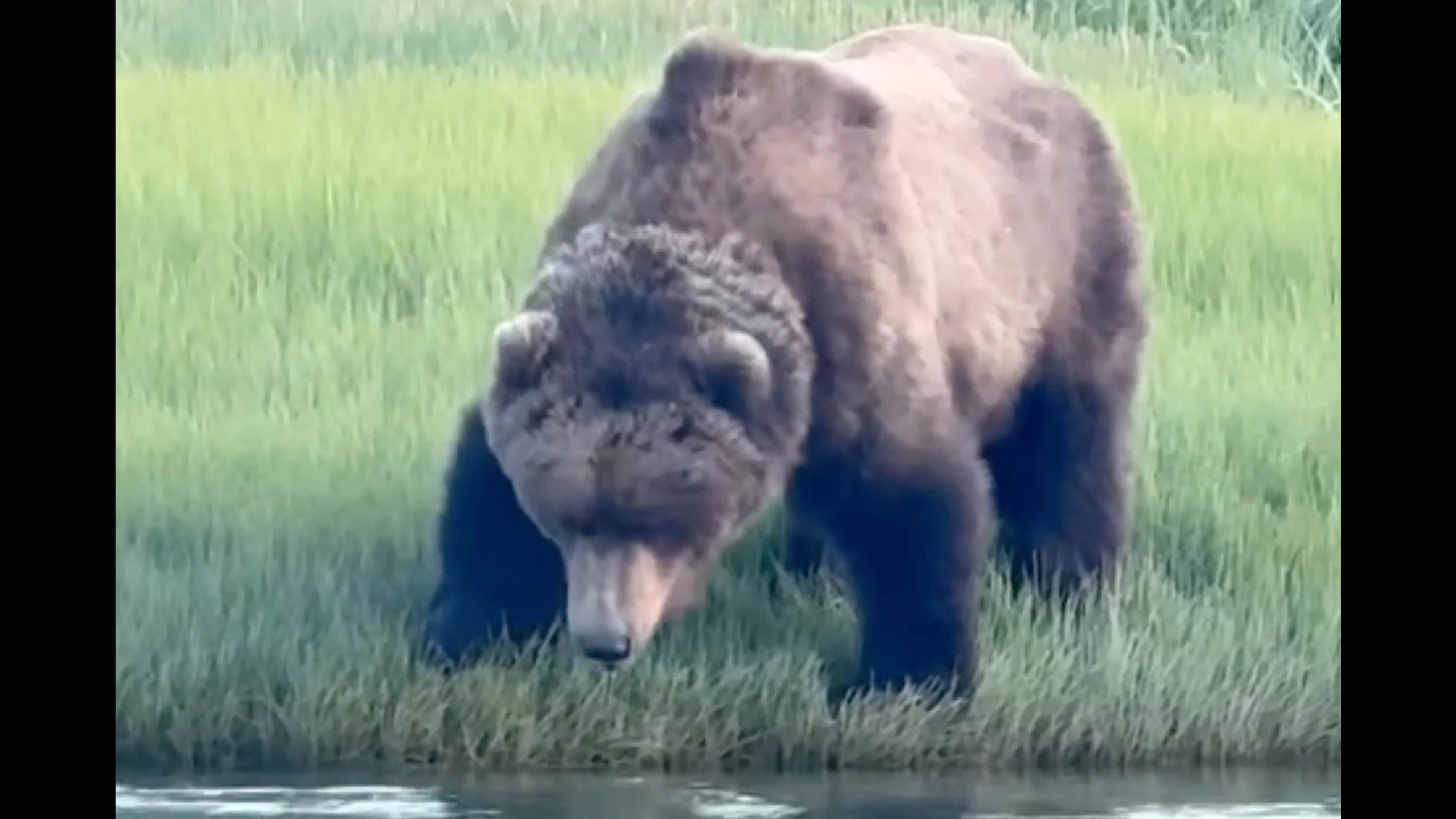 Bears 6 13 26 no play