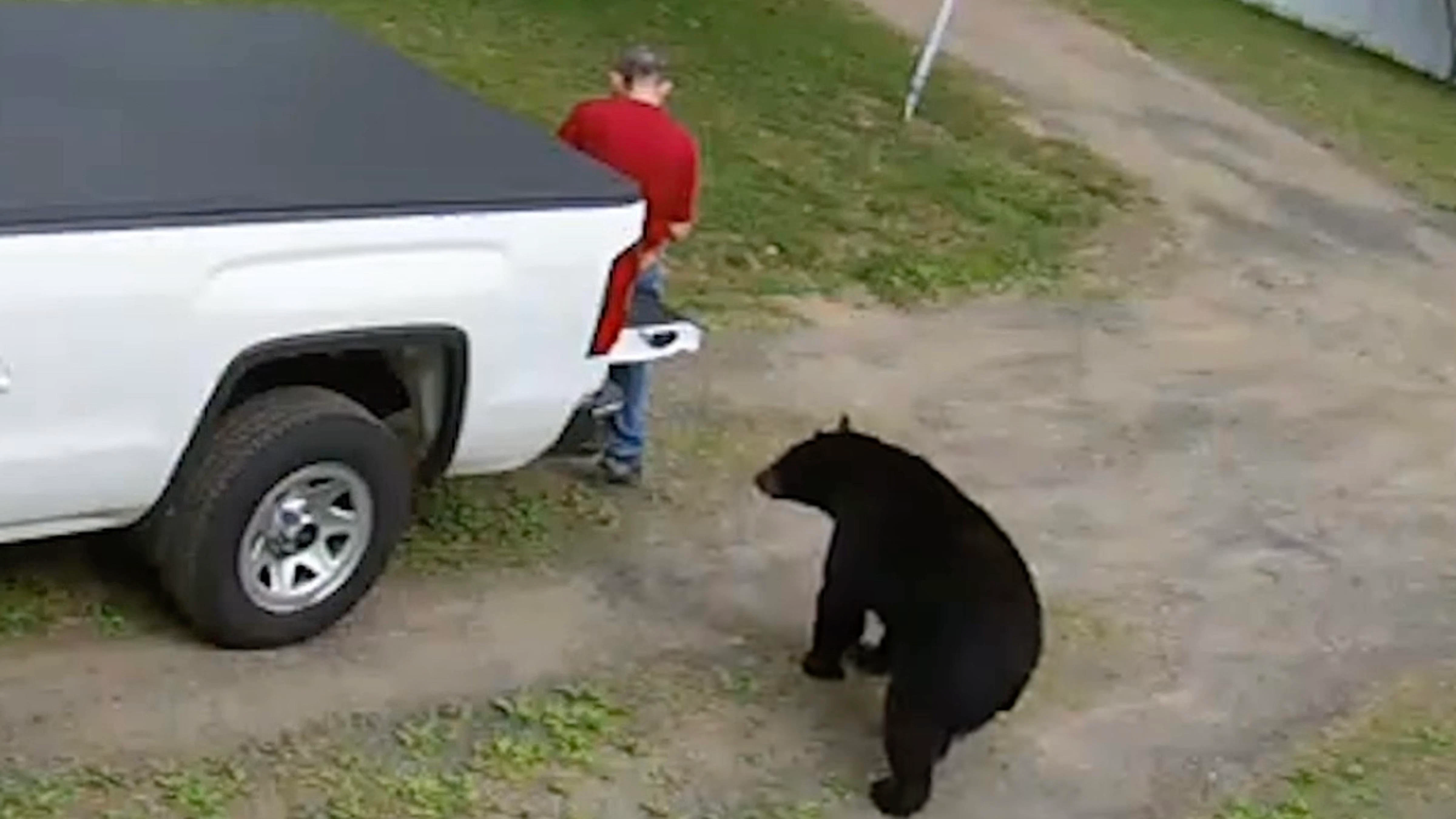 Bears 6 16 26