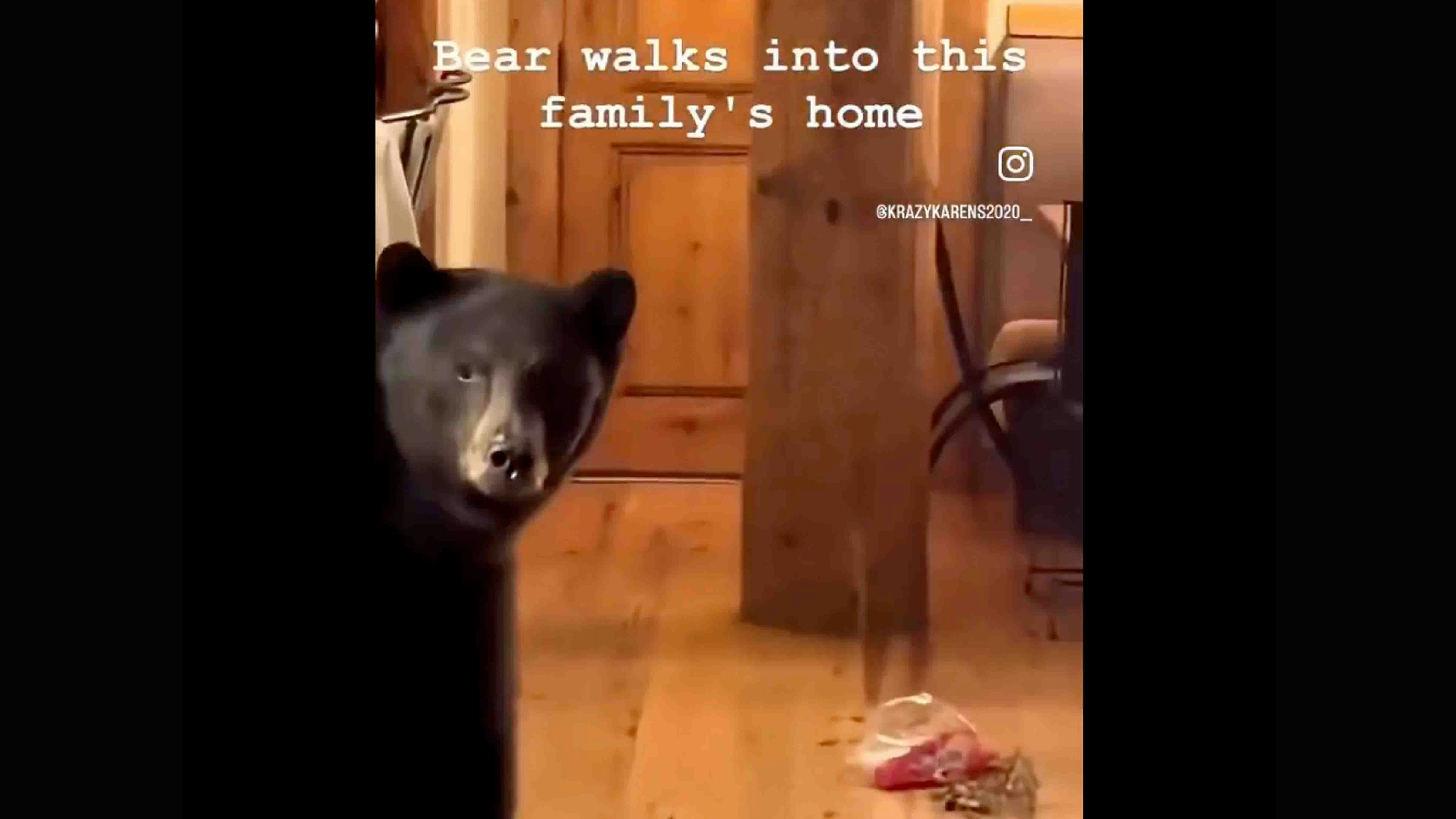 Bears 8 29 25