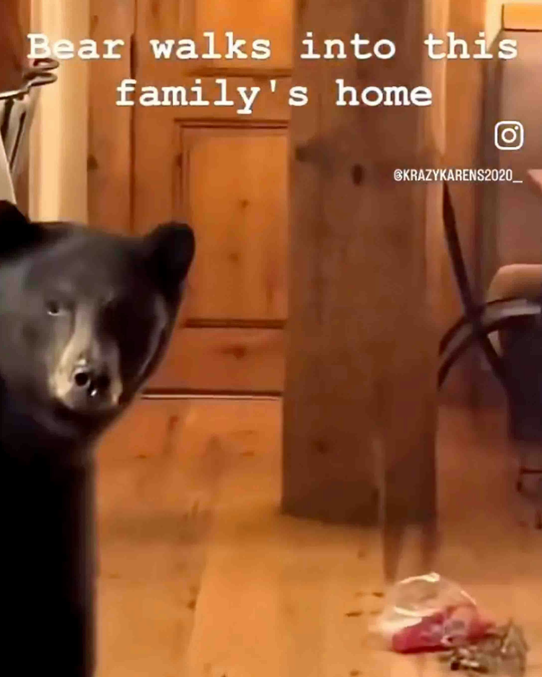 Bears 8 29 25
