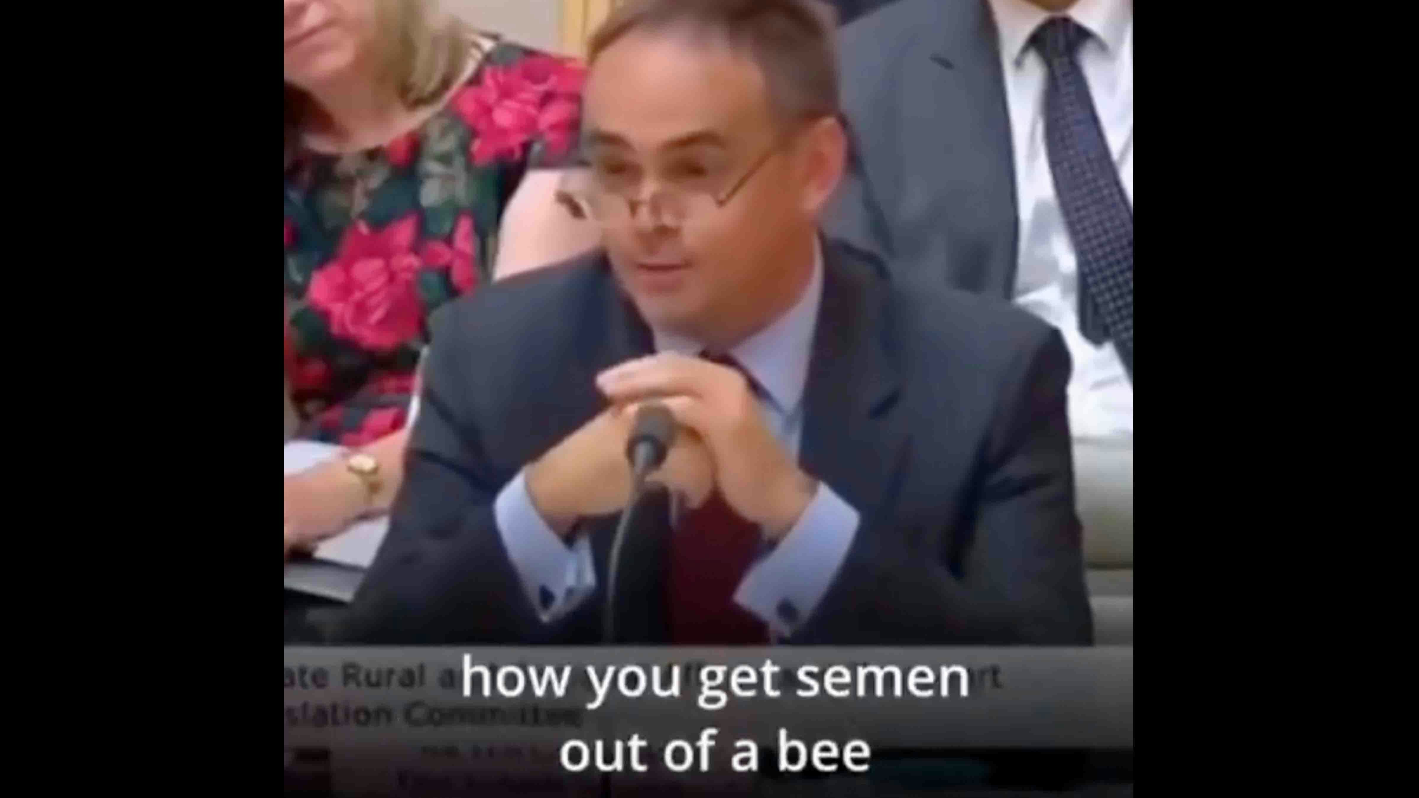 Bee semen 10 29 25