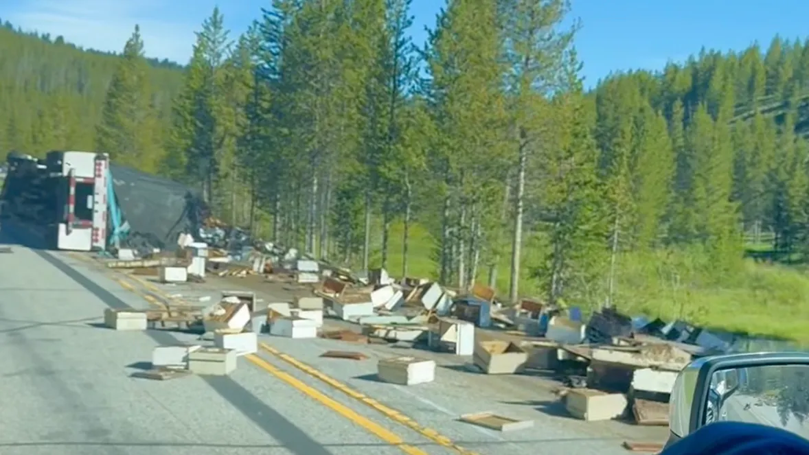 A semitruck carrying millions of honeybees flipped over on U.S. Highway 191 in Yellowstone National Park on Tuesday. Cheyenne beekeeper Michael Jordan called the scene "a devastating loss" of hundreds of thousands of dollars to the owners of the bees.