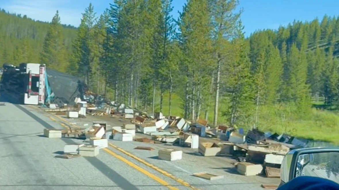 A semitruck carrying millions of honeybees flipped over on U.S. Highway 191 in Yellowstone National Park on Tuesday. Cheyenne beekeeper Michael Jordan called the scene "a devastating loss" of hundreds of thousands of dollars to the owners of the bees.
