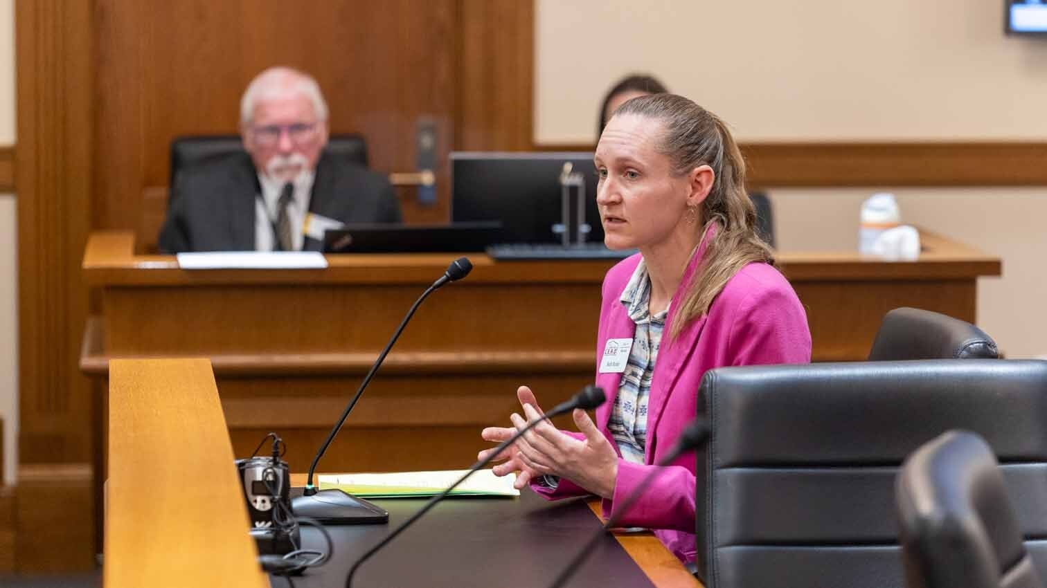 Beth Butler, a Converse County cattle rancher with a background in petroleum remediation, told the committee she supports the bill but wants to preserve the option of using wastewater for hydrogen production.