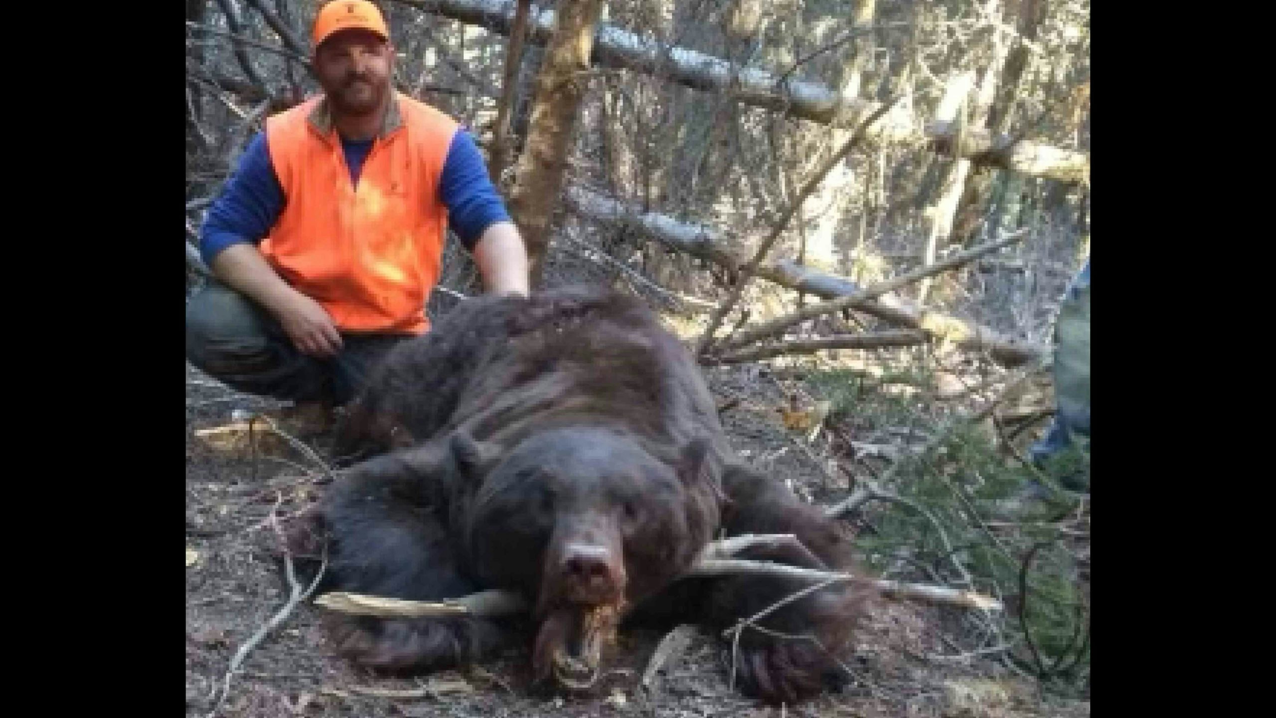 Big bear 2 10 27 22 scaled