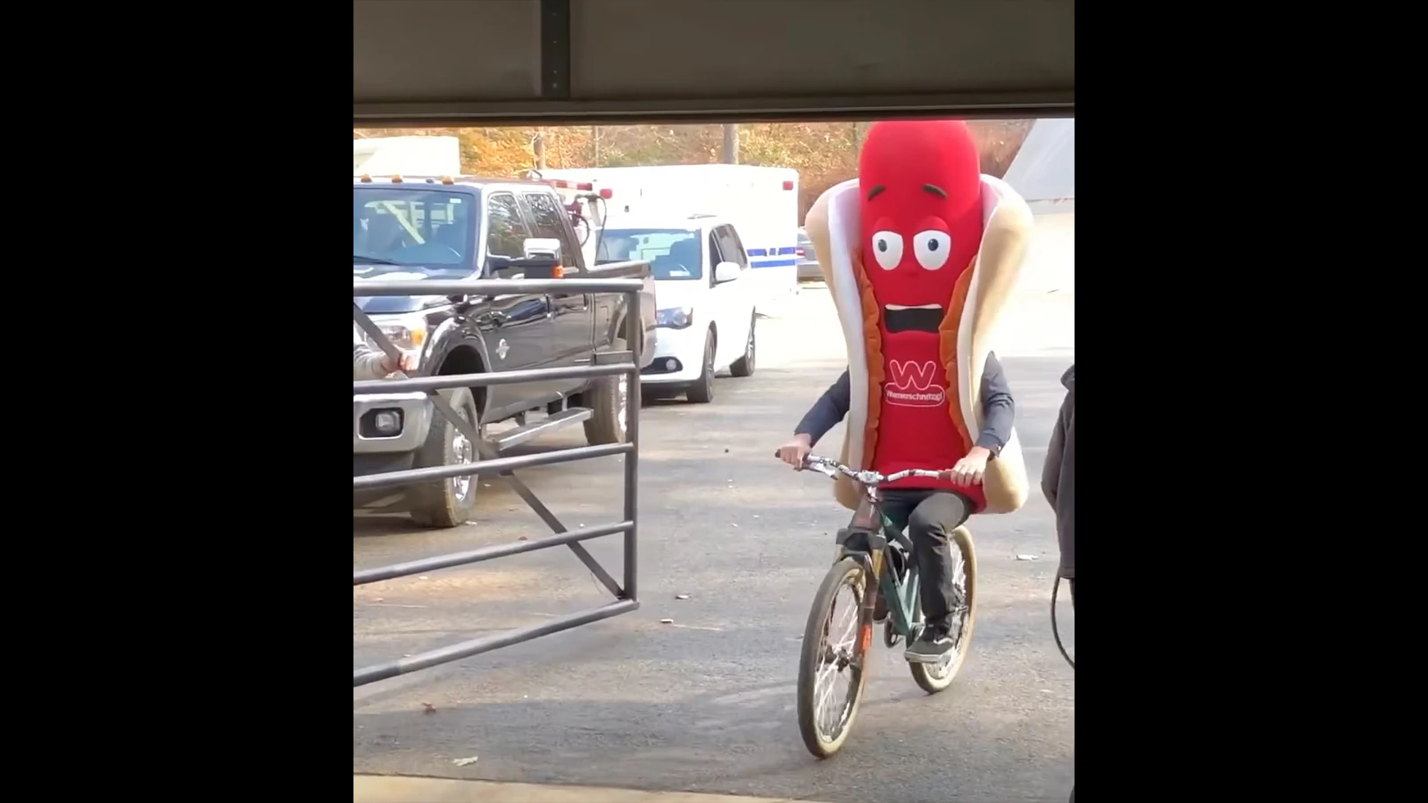 Bike rides 8 15 26