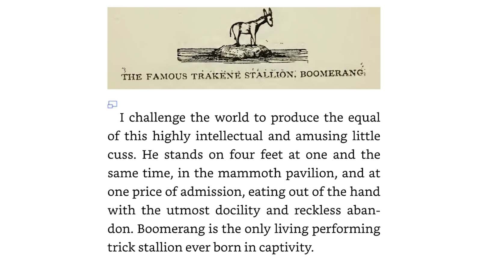 Bill Nye, the humorist that became Wyoming’s Mark Twain, claimed that his donkey, Boomerang, once worked at a traveling circus as “the famous trakene stallion.”