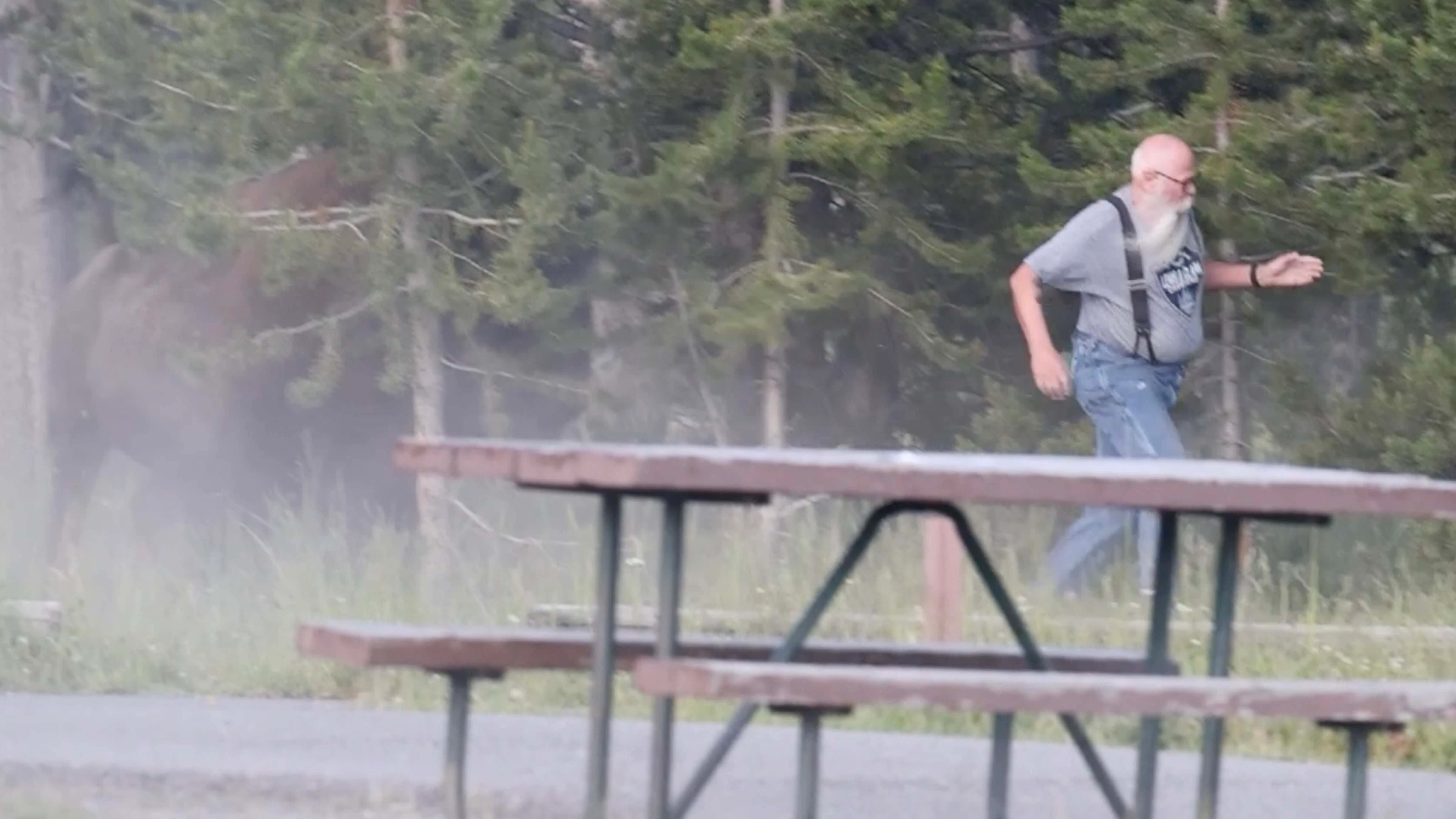 Man running away from bison at Yellowstone's Bridge Bay Campground on Friday, July 10, 2026