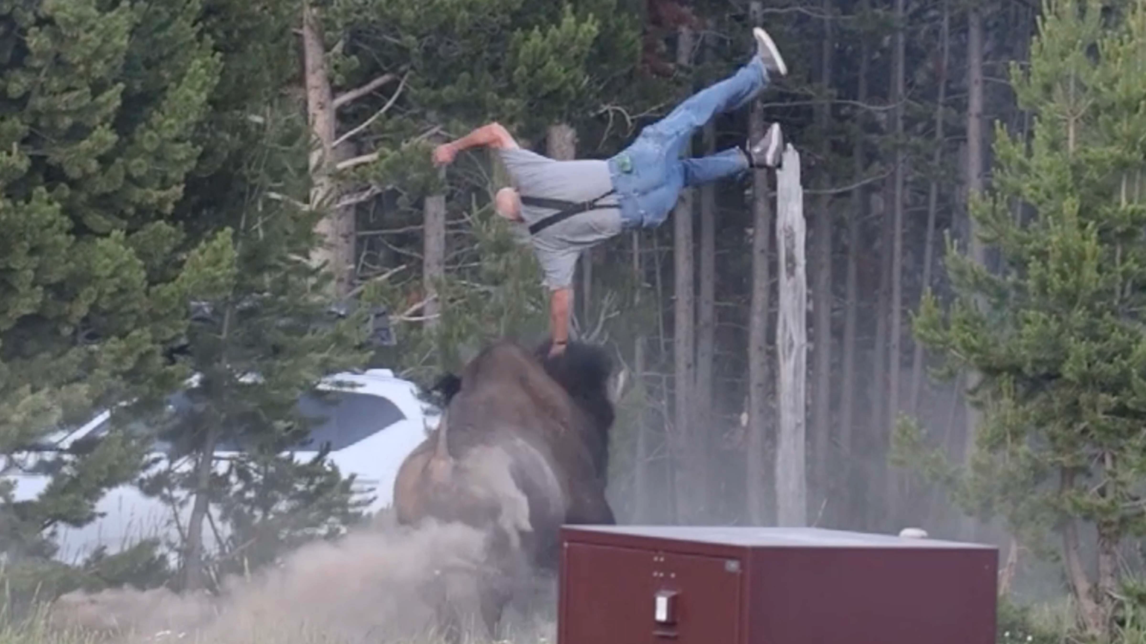 Man flipped by bison at Yellowstone's Bridge Bay Campground on Friday, July 10, 2026