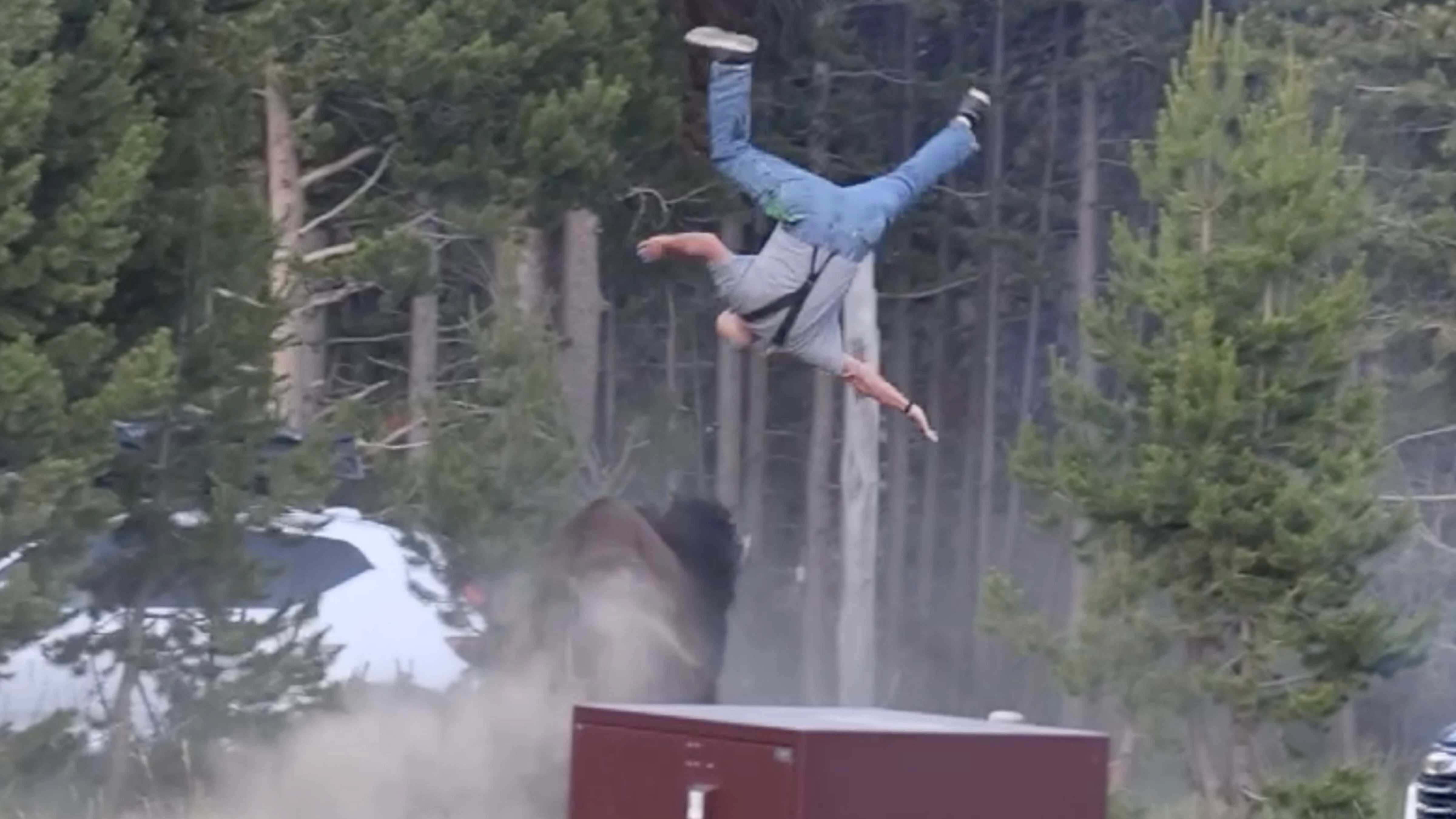 Man flipped by bison at Yellowstone's Bridge Bay Campground on Friday, July 10, 2026