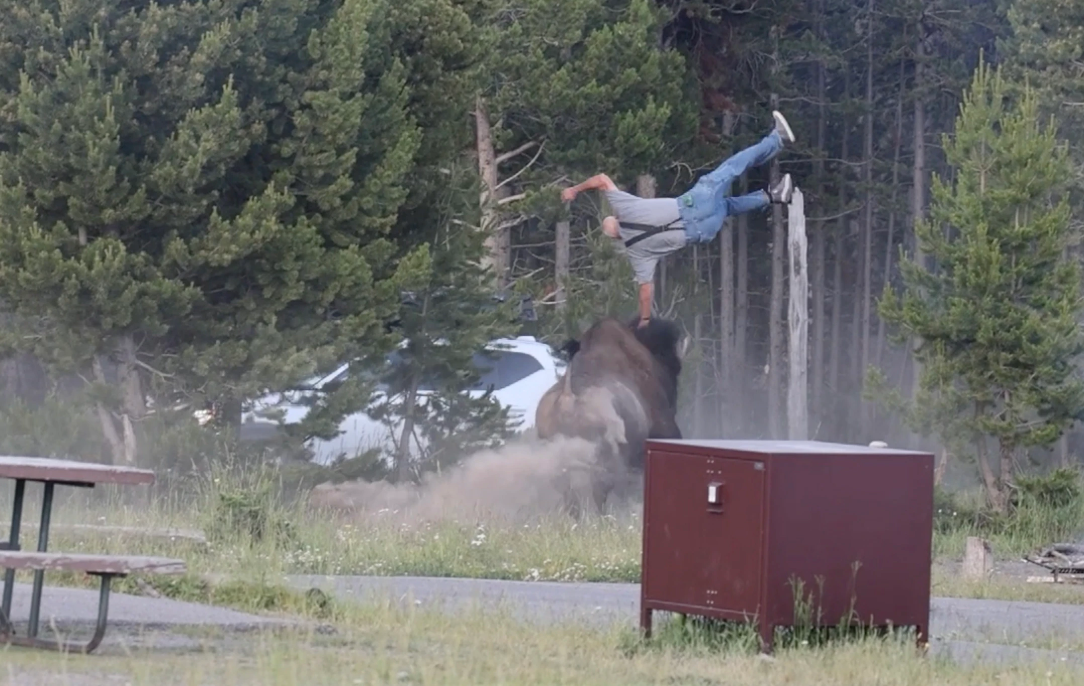 Bison flip 7 22 26
