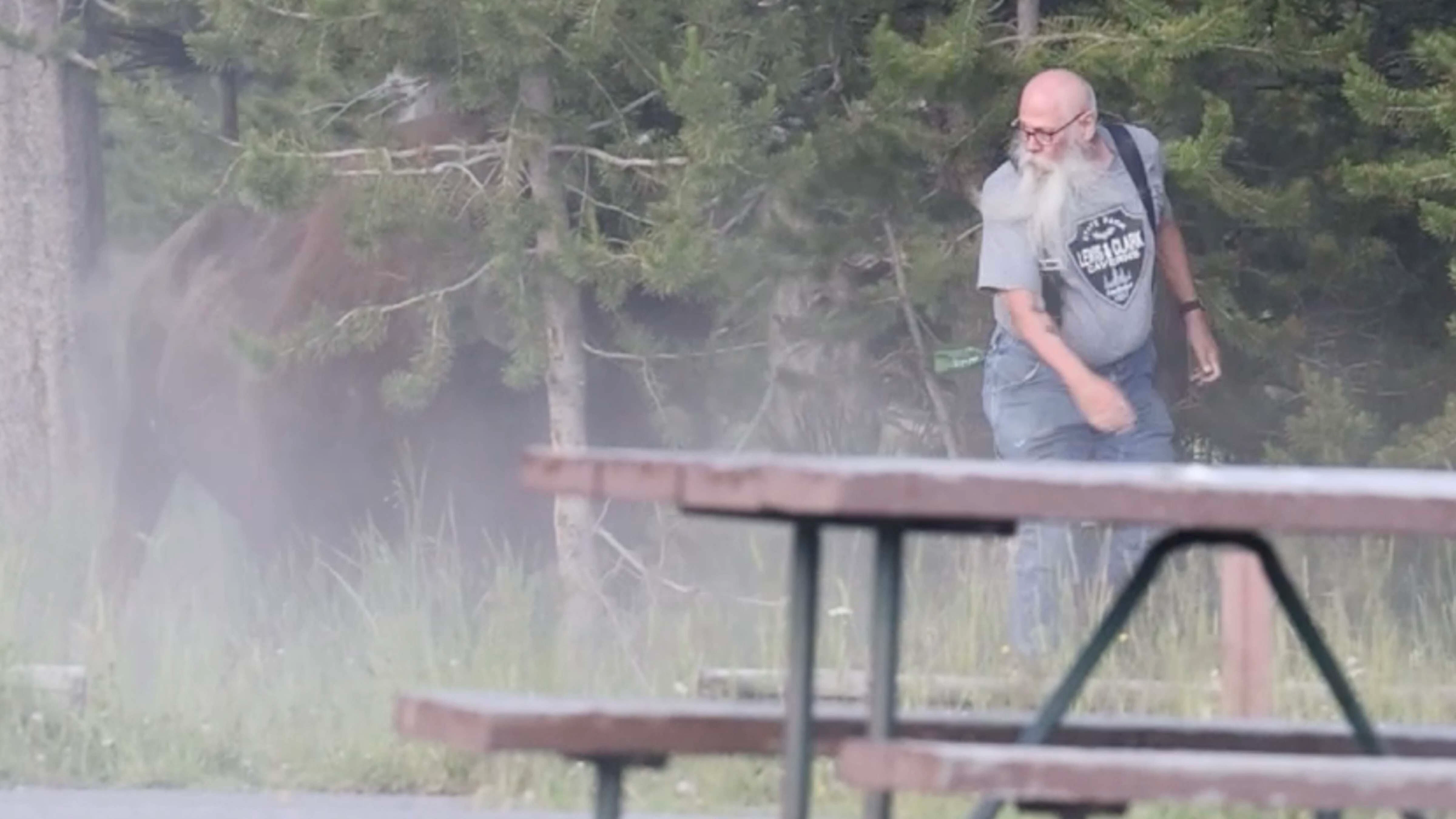Man trying to get away from bison at Yellowstone's Bridge Bay Campground on Friday, July 10, 2026
