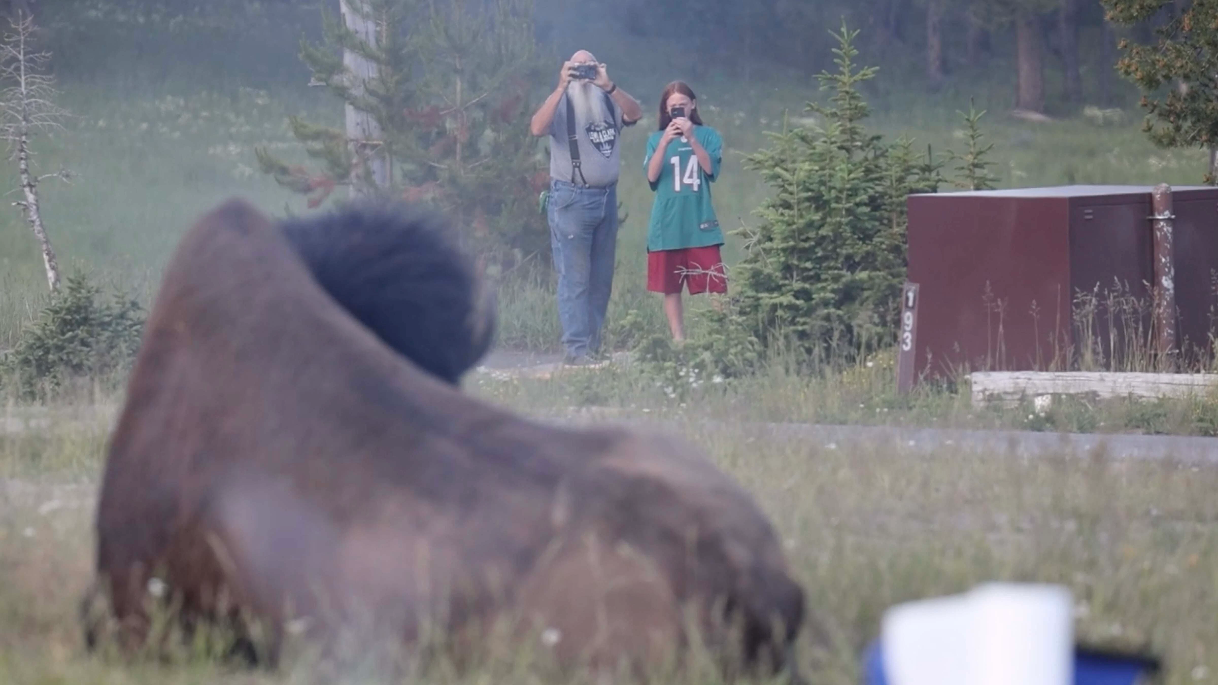 Man with grandson taking photos and video of bison moments before attack