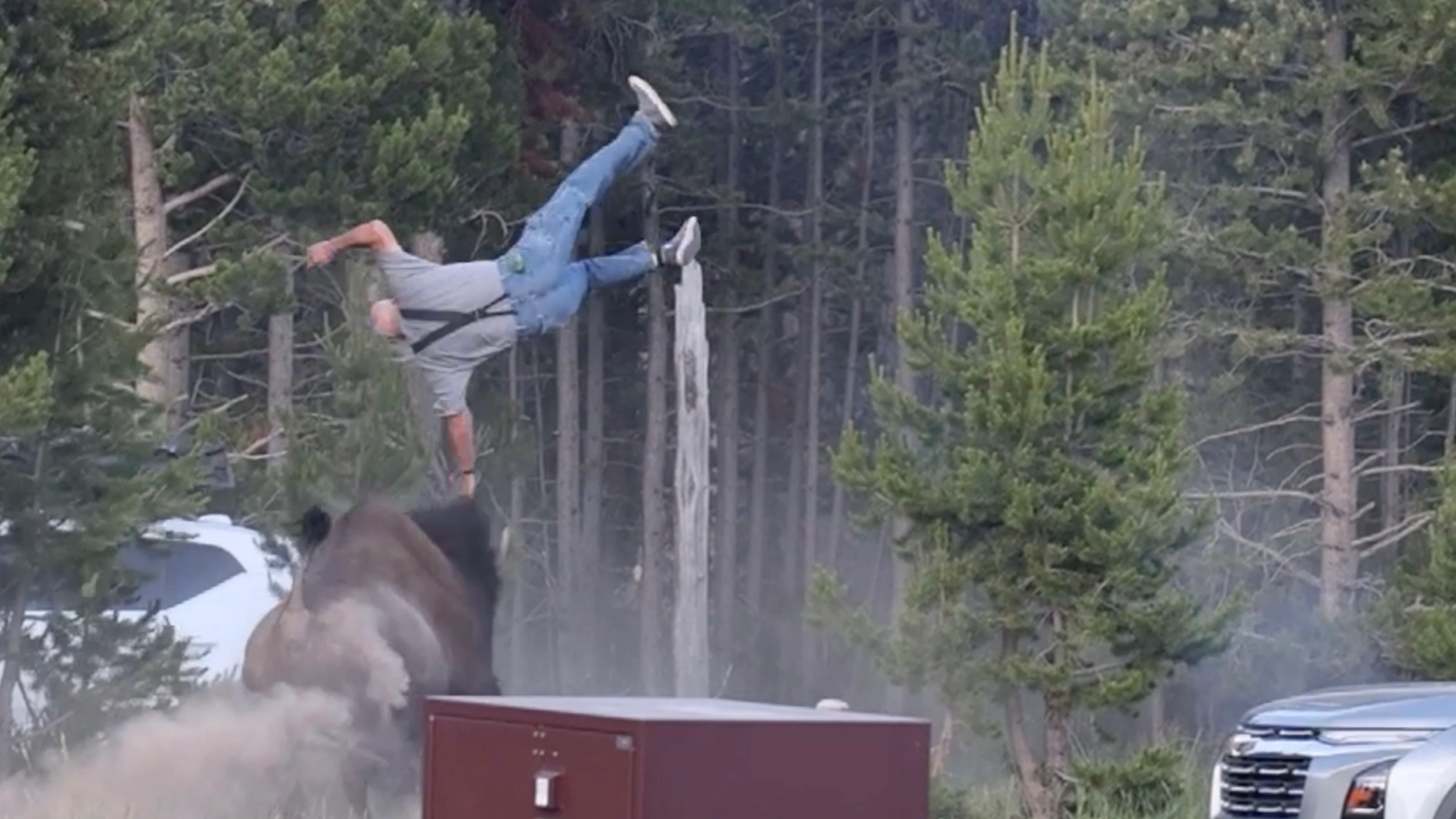 Man flipped by bison at Yellowstone's Bridge Bay Campground on Friday, July 10, 2026