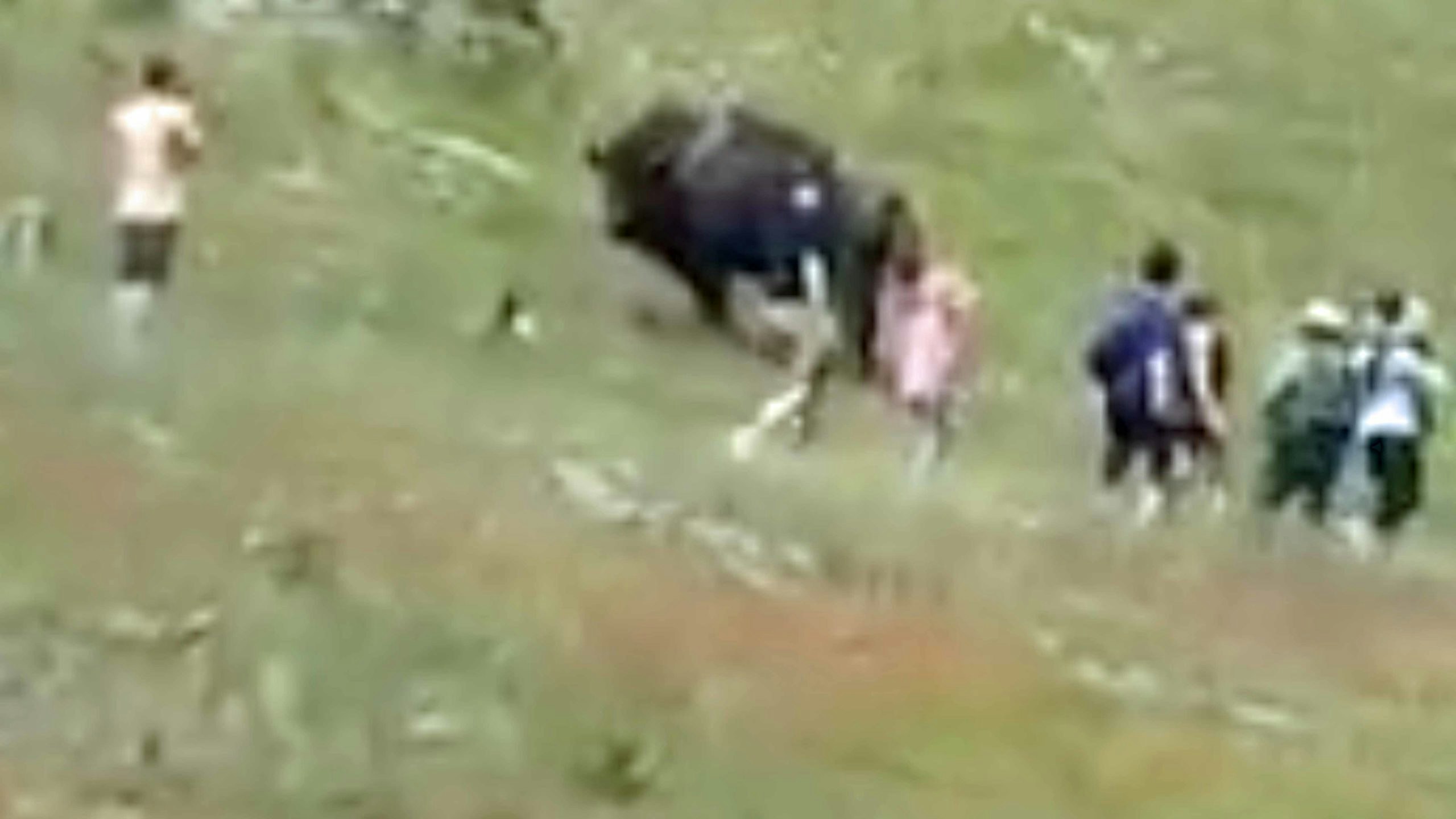 Bison people 7 11 22 scaled