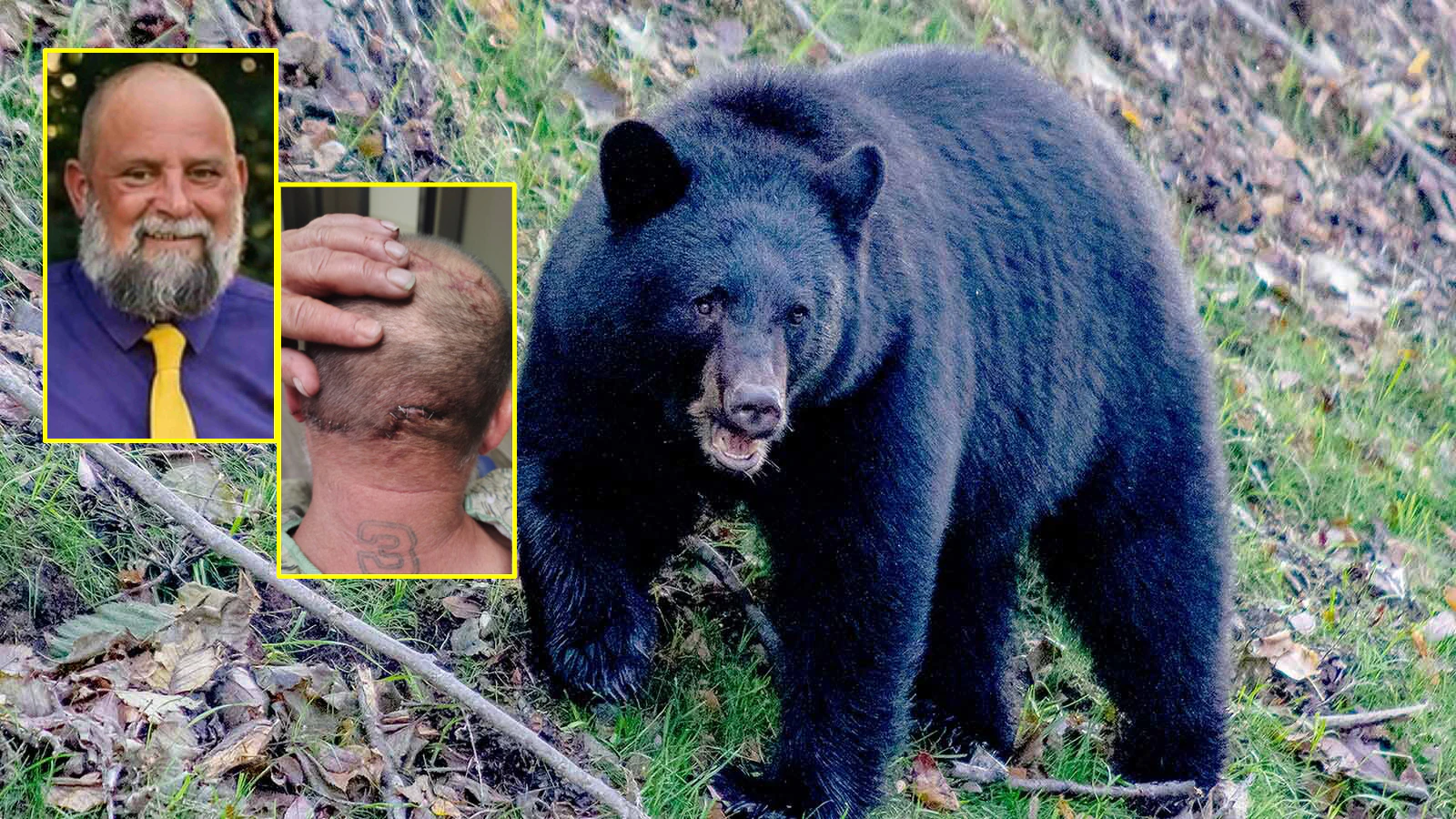 Black bear idaho guy v2 10 19 26