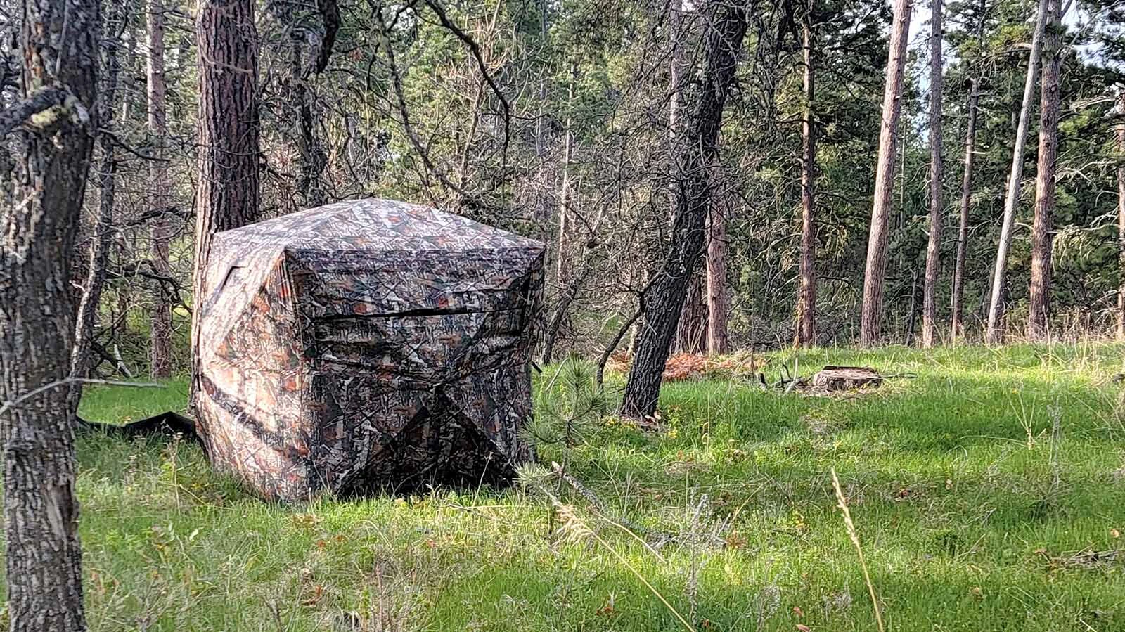 Nic Buxman of Afton had set up his blind for pronghorn hunting next to a water hole in Natrona County. When he returned from scouting, it was gone.