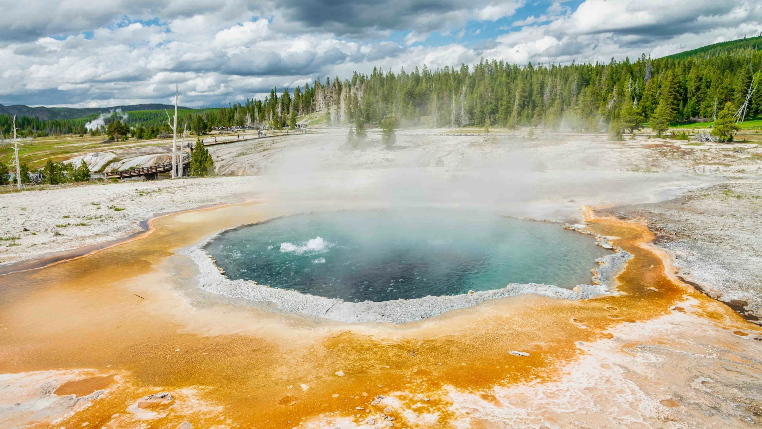 Boiling pool yellowstone 11 21 22 scaled