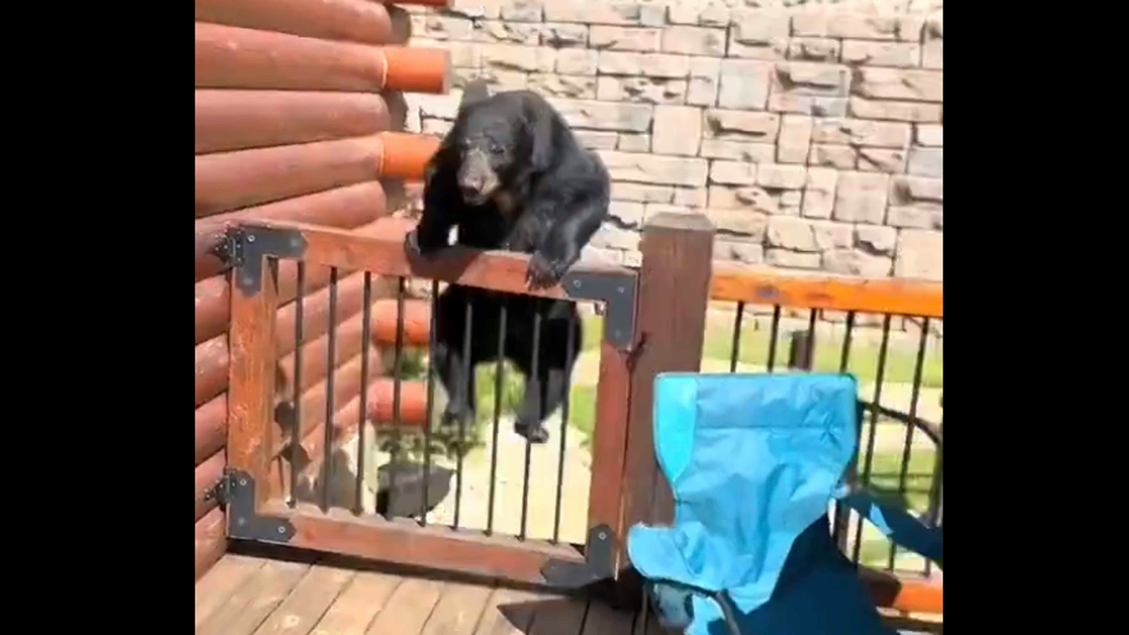 Bonus 2 7 15 24 regular