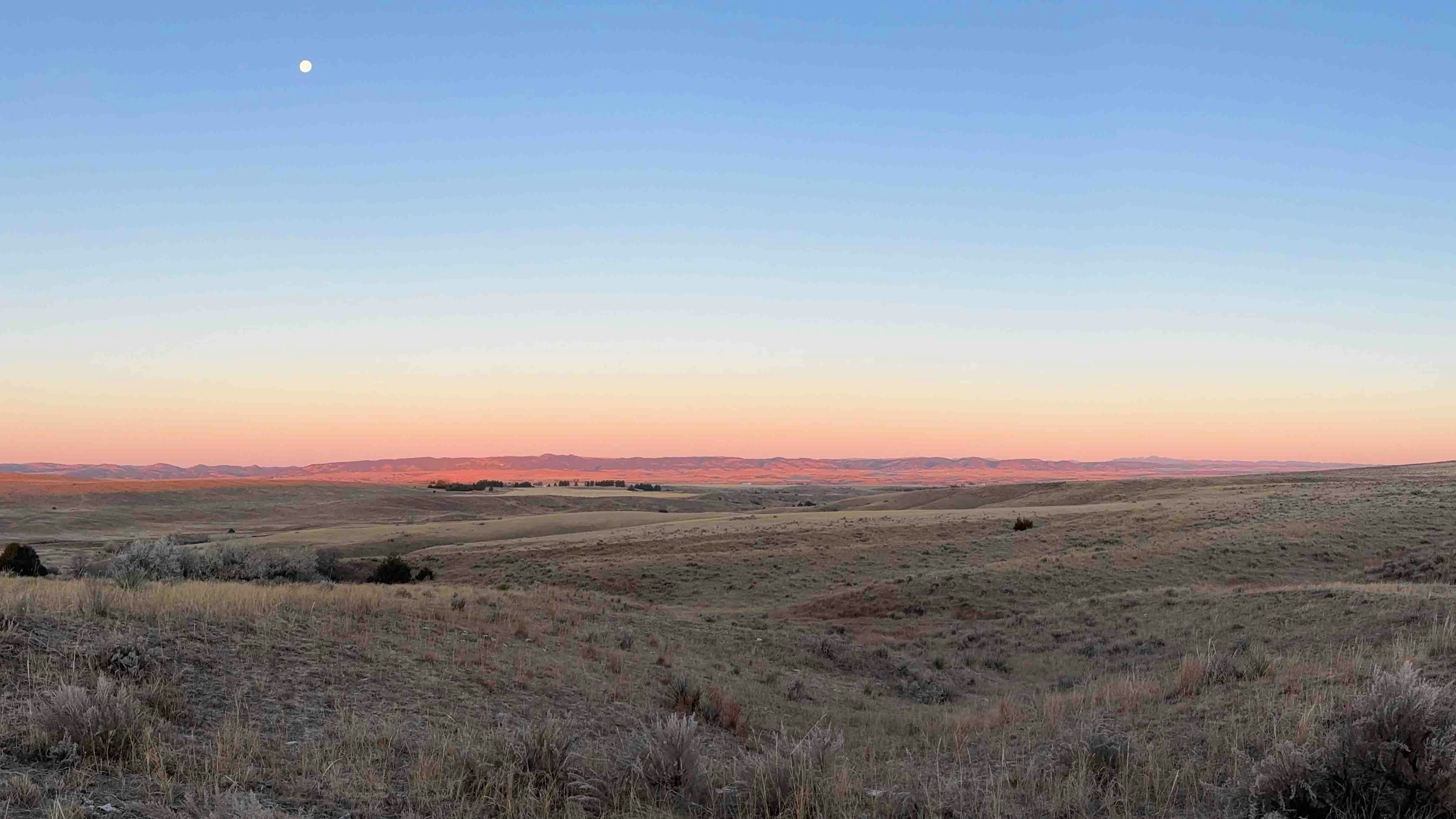 Bonus regional sunrise 12 19 24