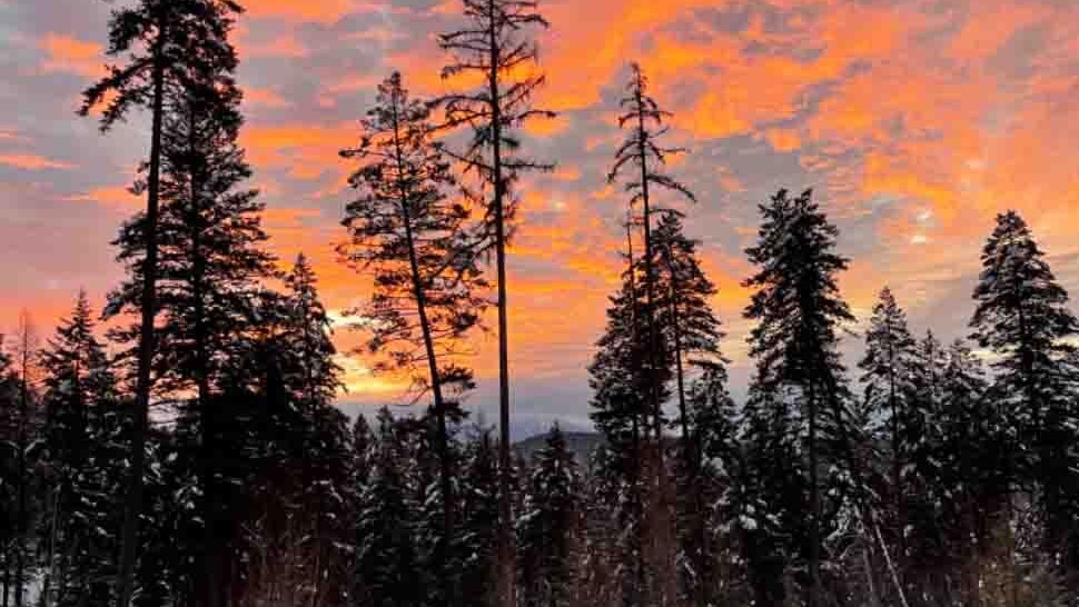 Bonus sunrise 12 3 24