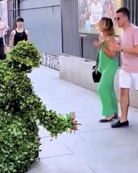 Bonus vid 1 1 13 25 v2