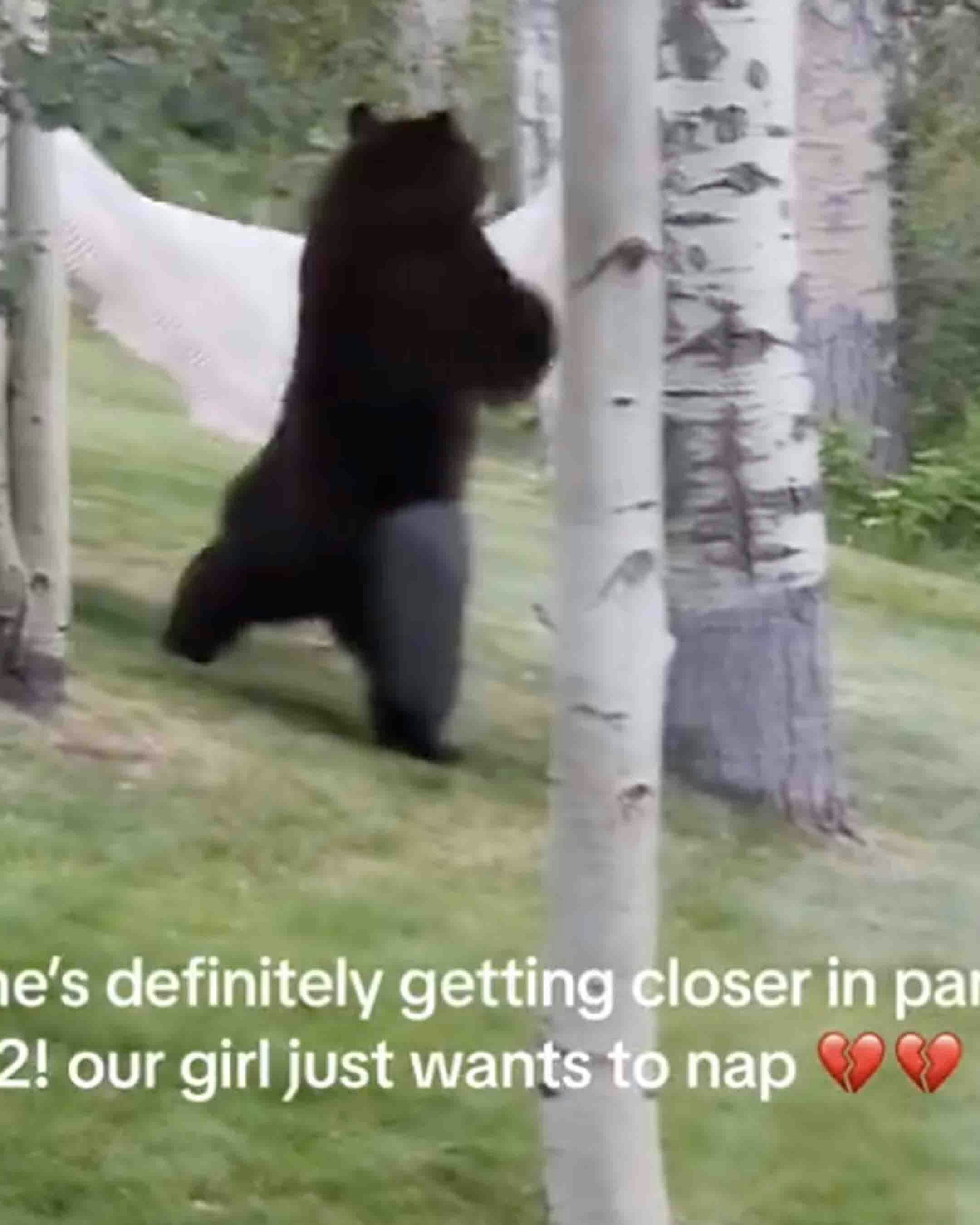 Bonus vid 1 10 13 24