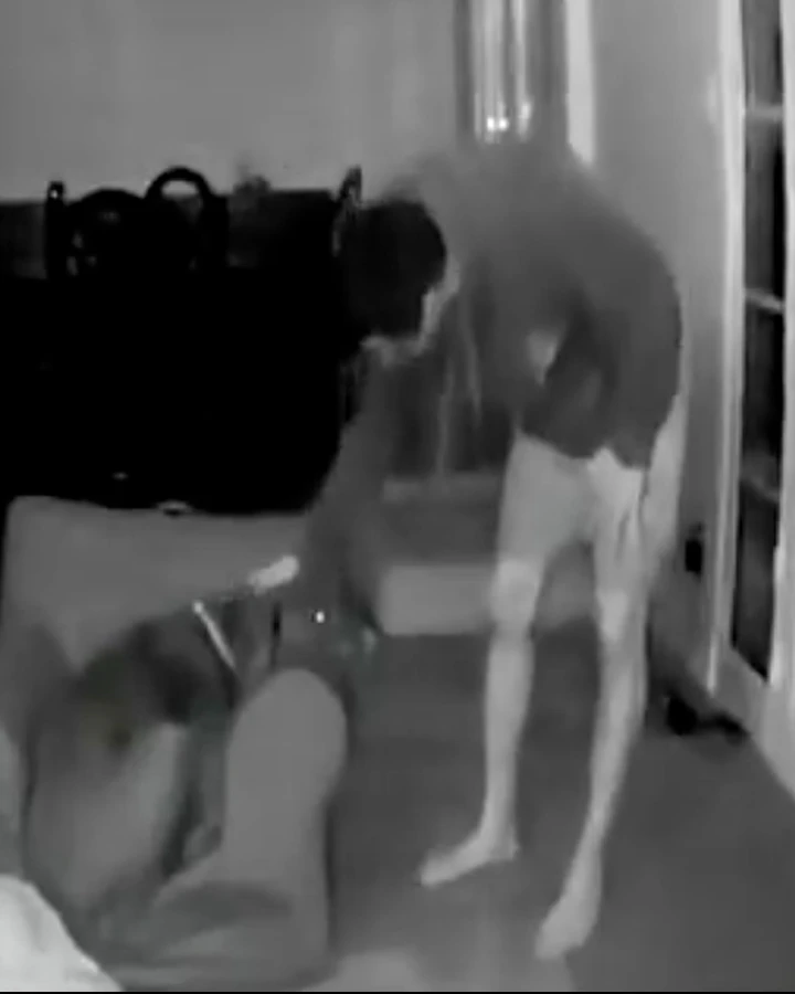 Bonus vid 1 10 19 26