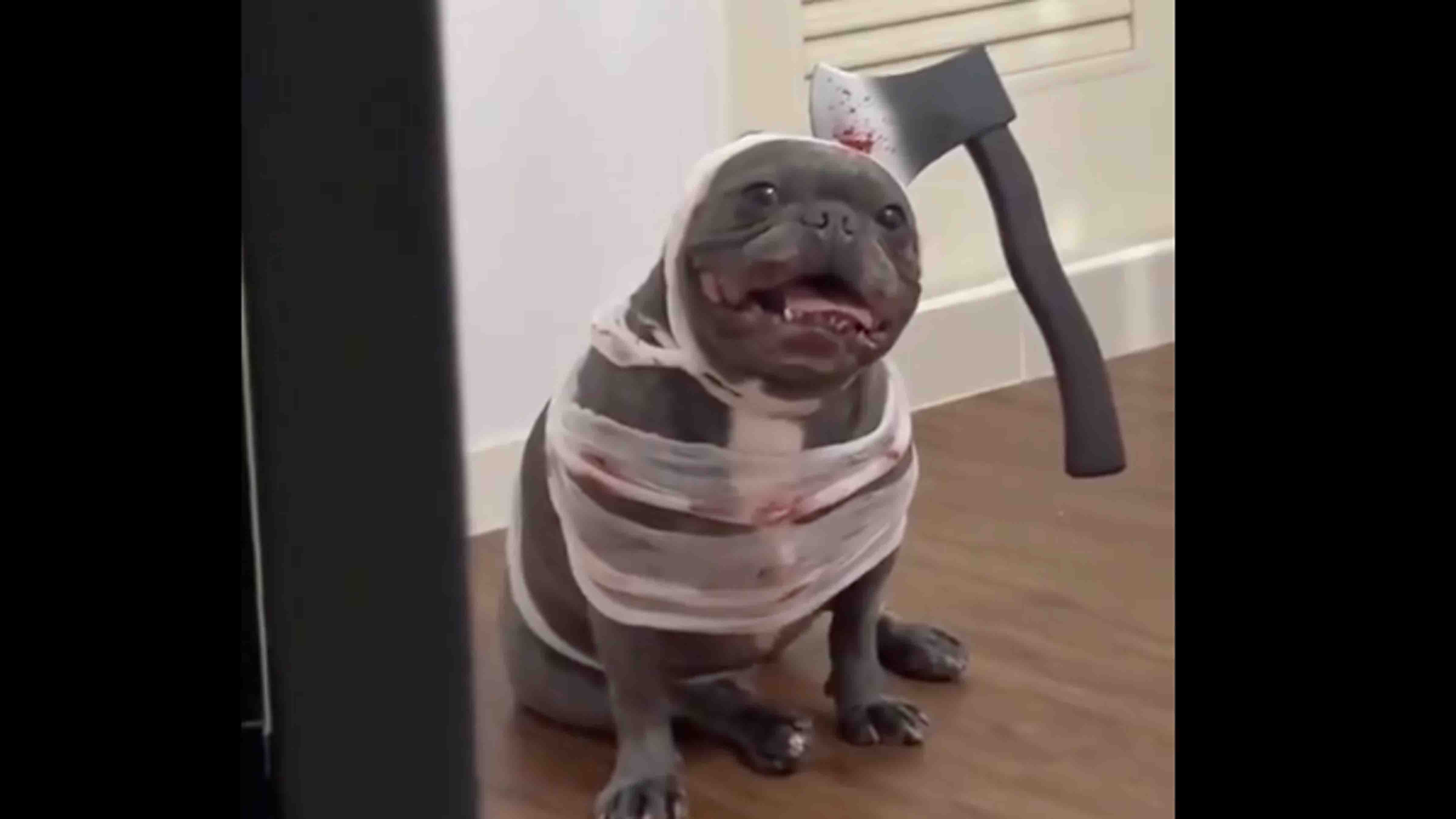 Bonus vid 1 10 27 25