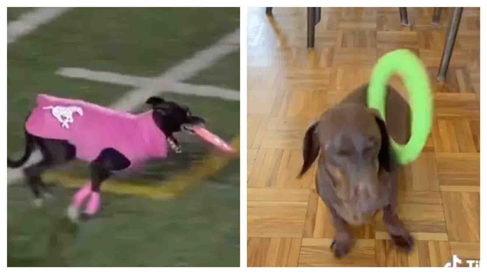 Bonus vid 1 11 13 25