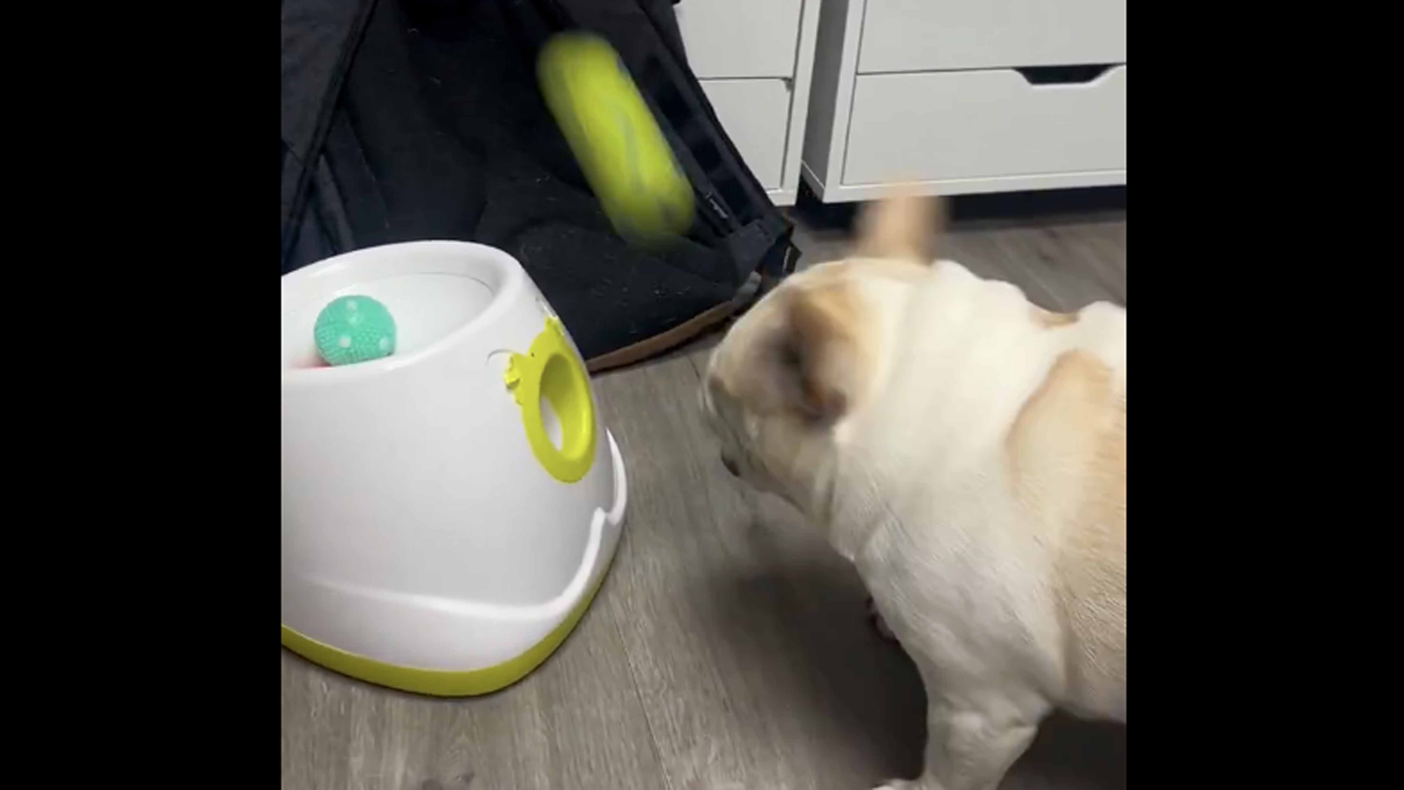 Bonus vid 1 11 18 25