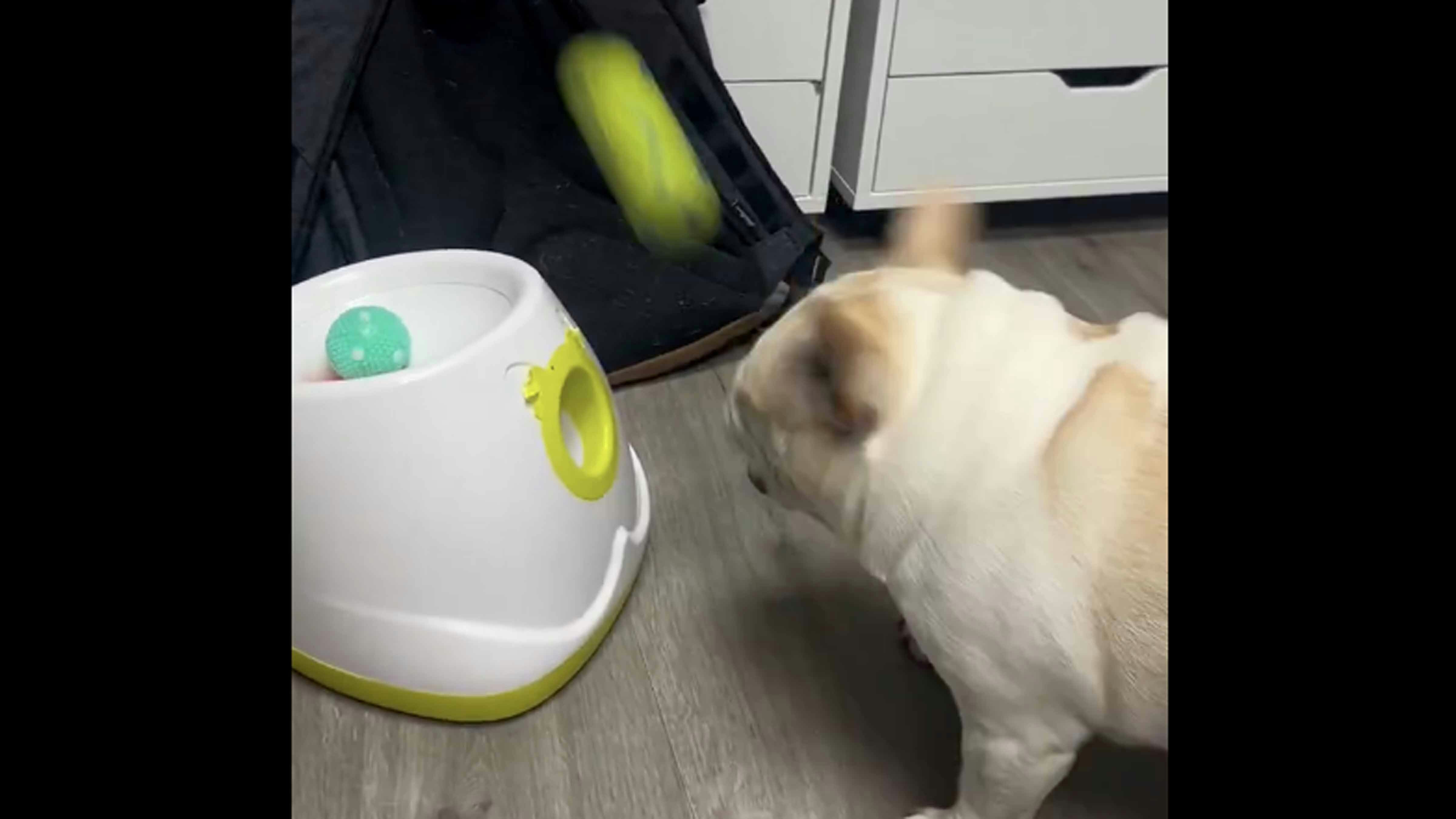 Bonus vid 1 11 18 25