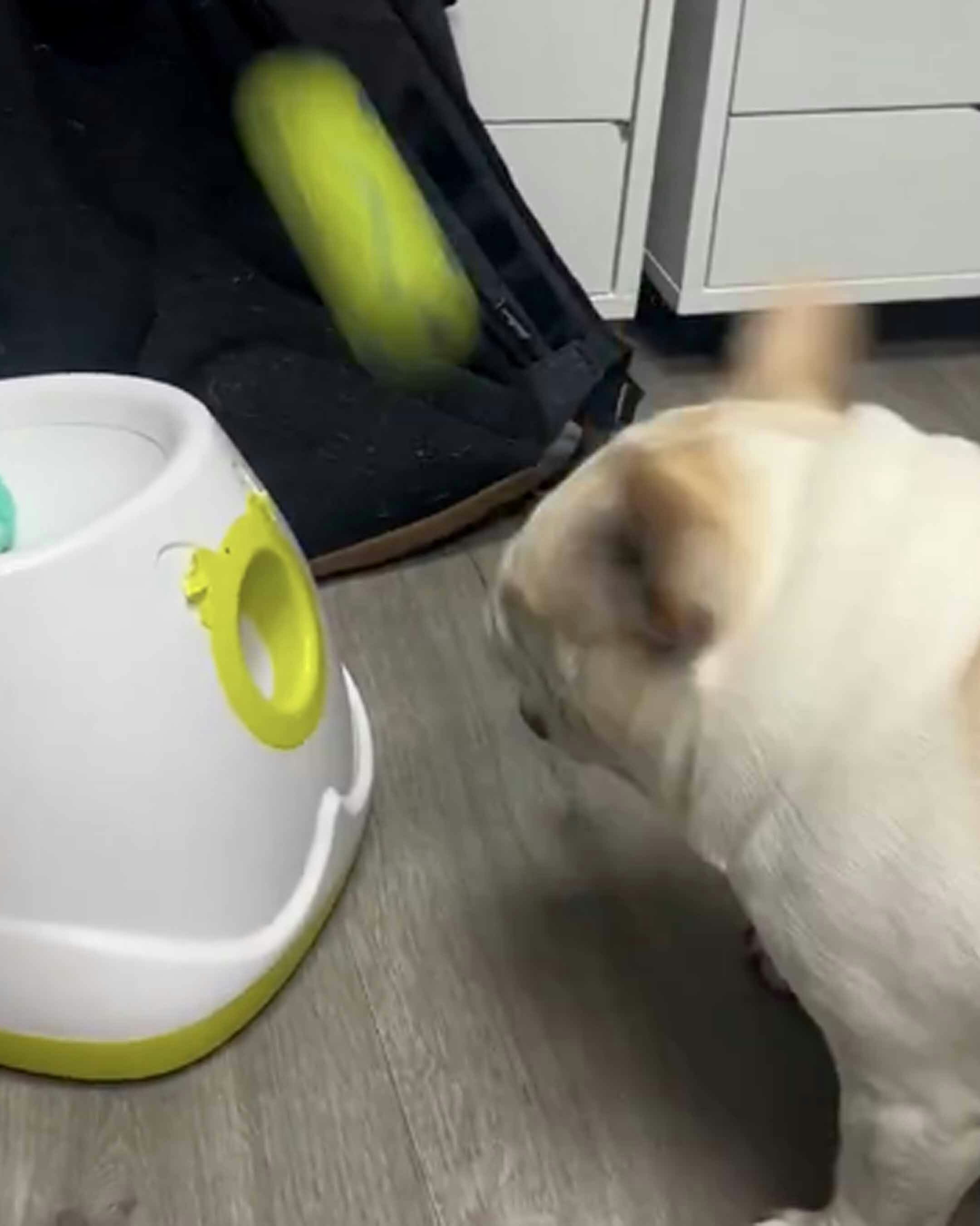 Bonus vid 1 11 18 25