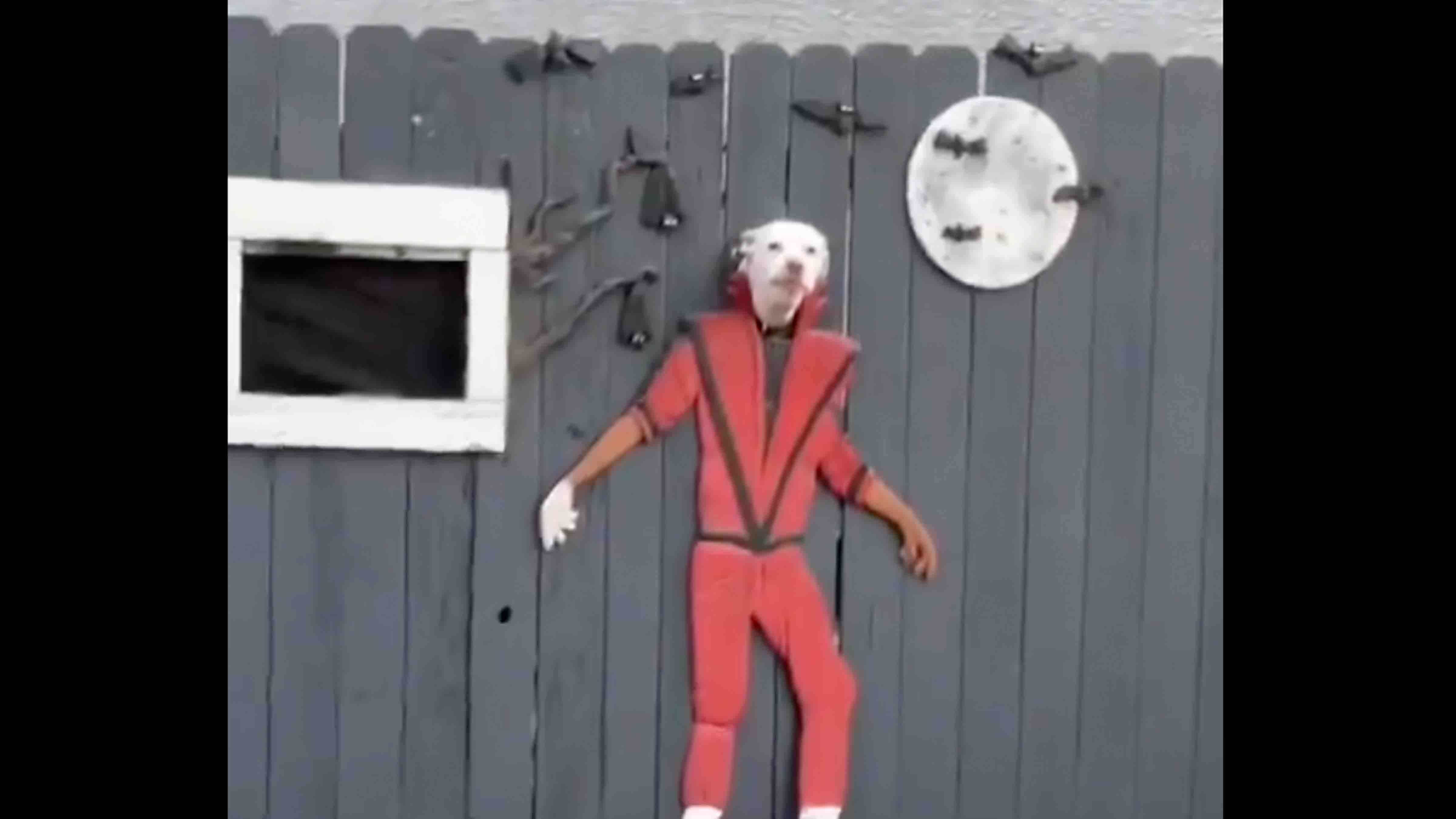 Bonus vid 1 12 18 25