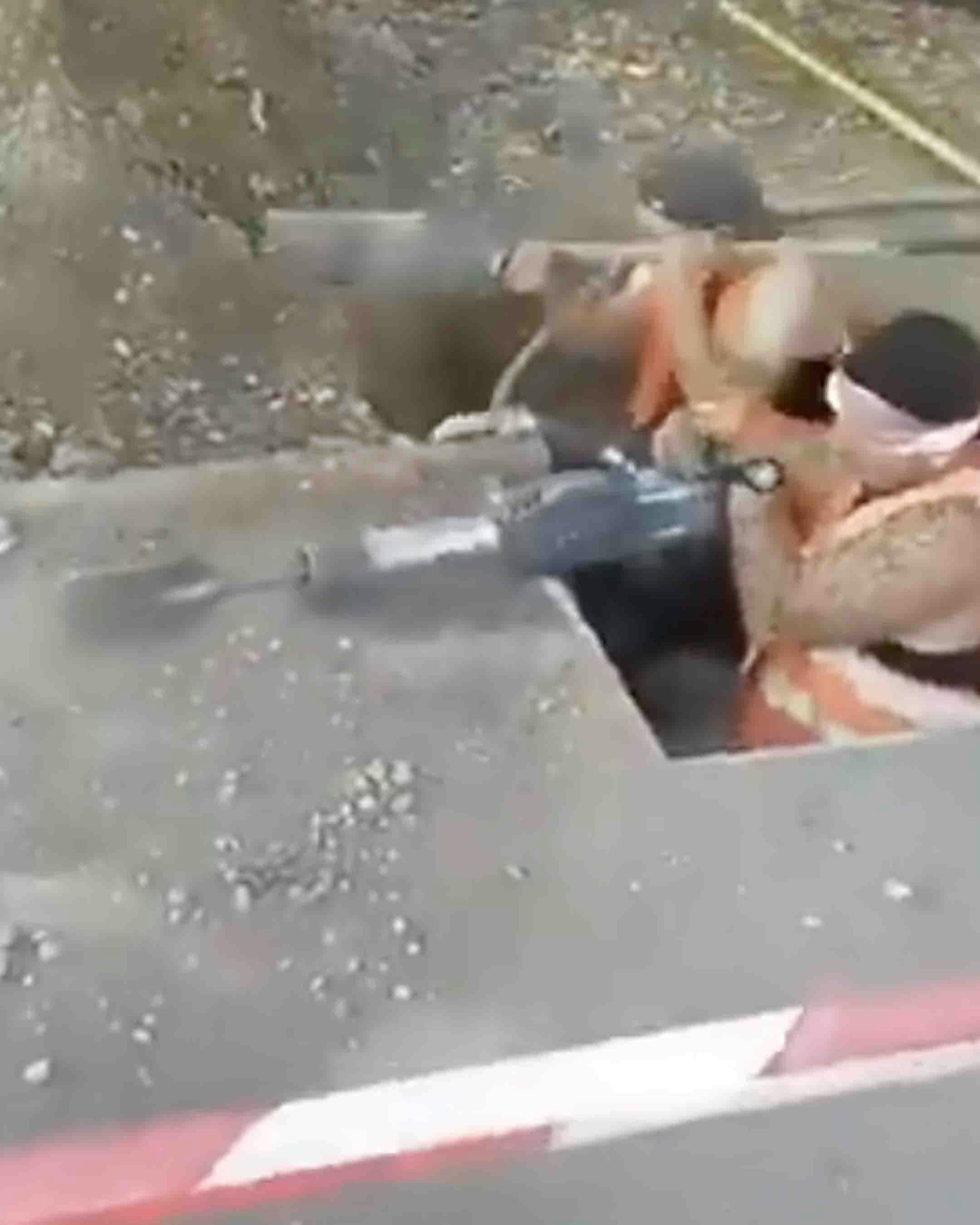 Bonus vid 1 12 20 24