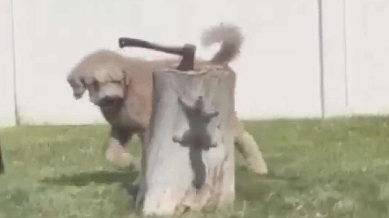 Bonus vid 1 12 28 25