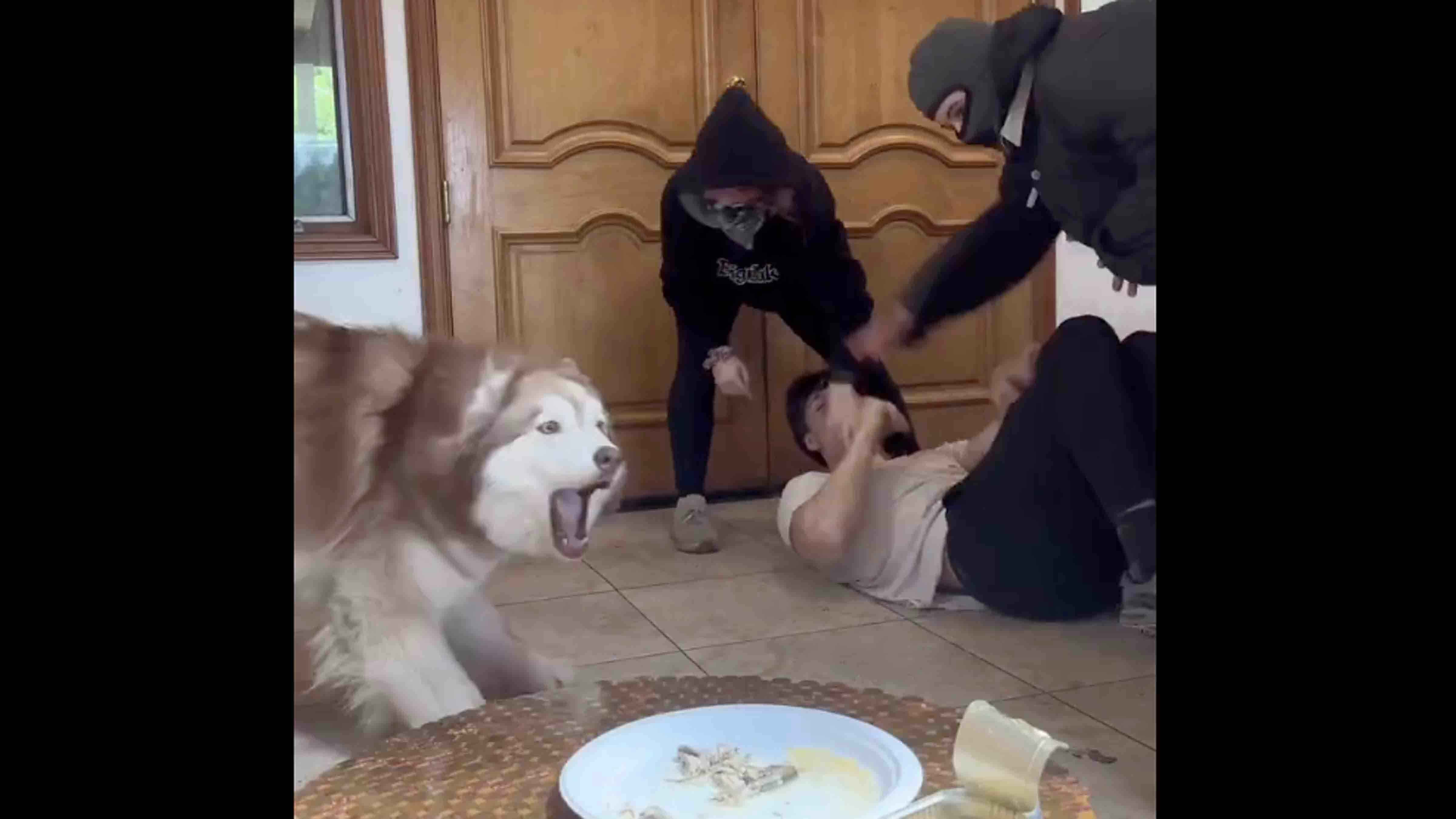 Bonus vid 1 5 27 25 v2