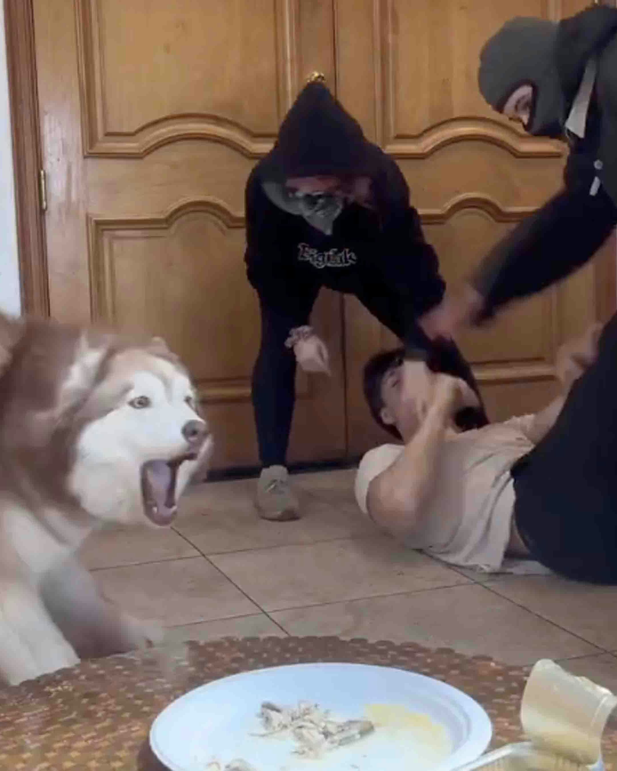 Bonus vid 1 5 27 25 v2