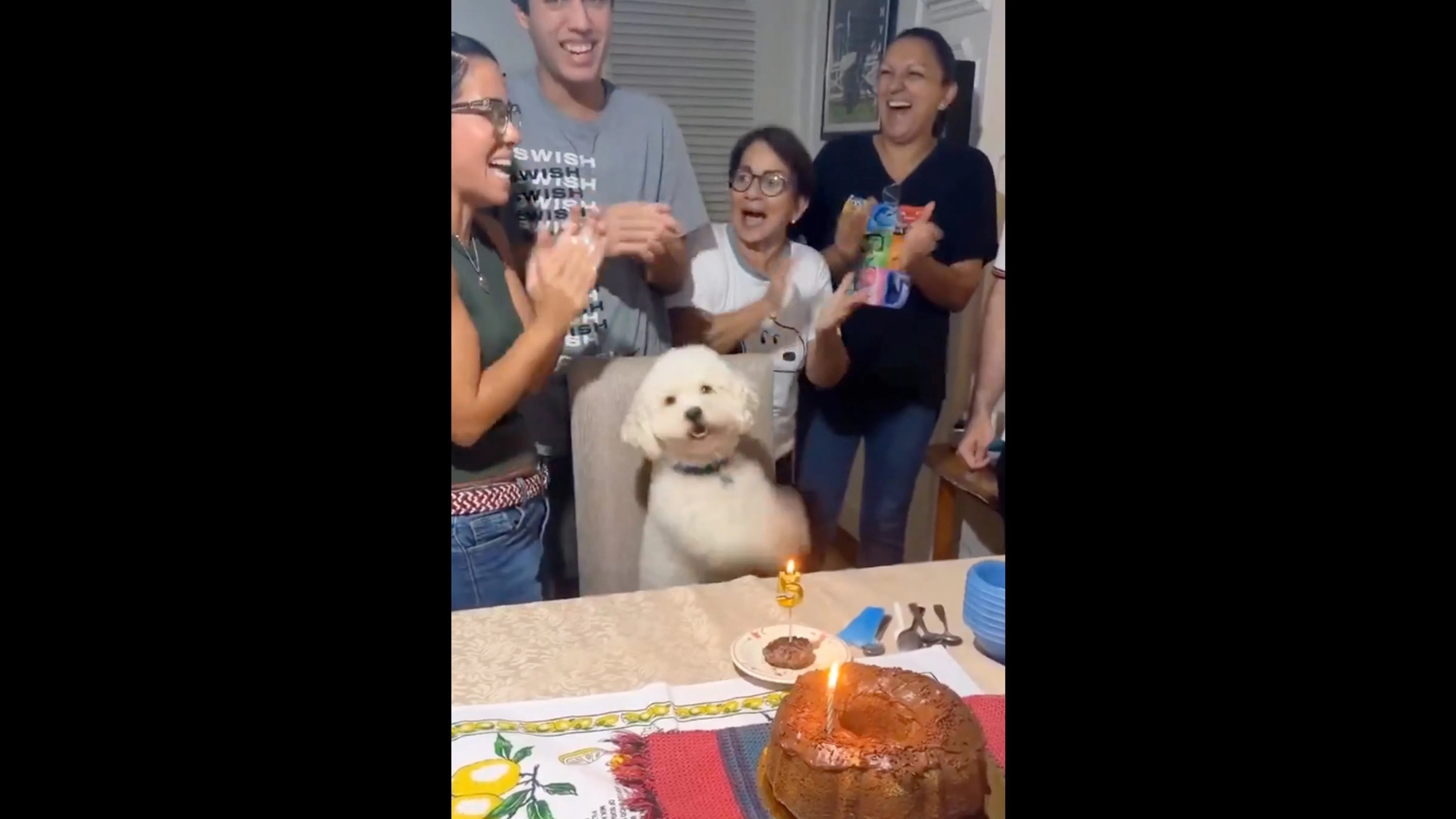 Bonus vid 1 9 26 26
