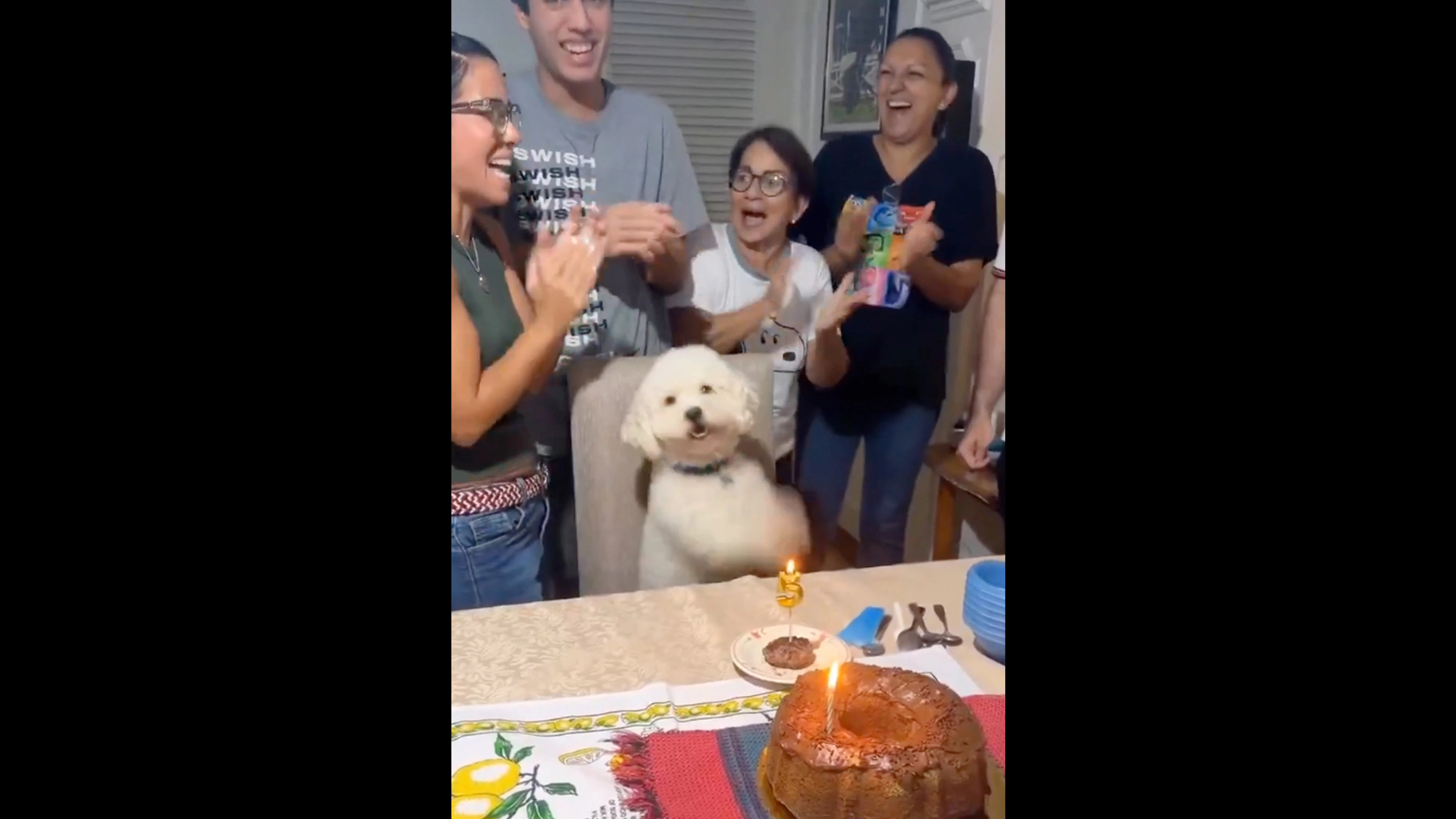 Bonus vid 1 9 26 26