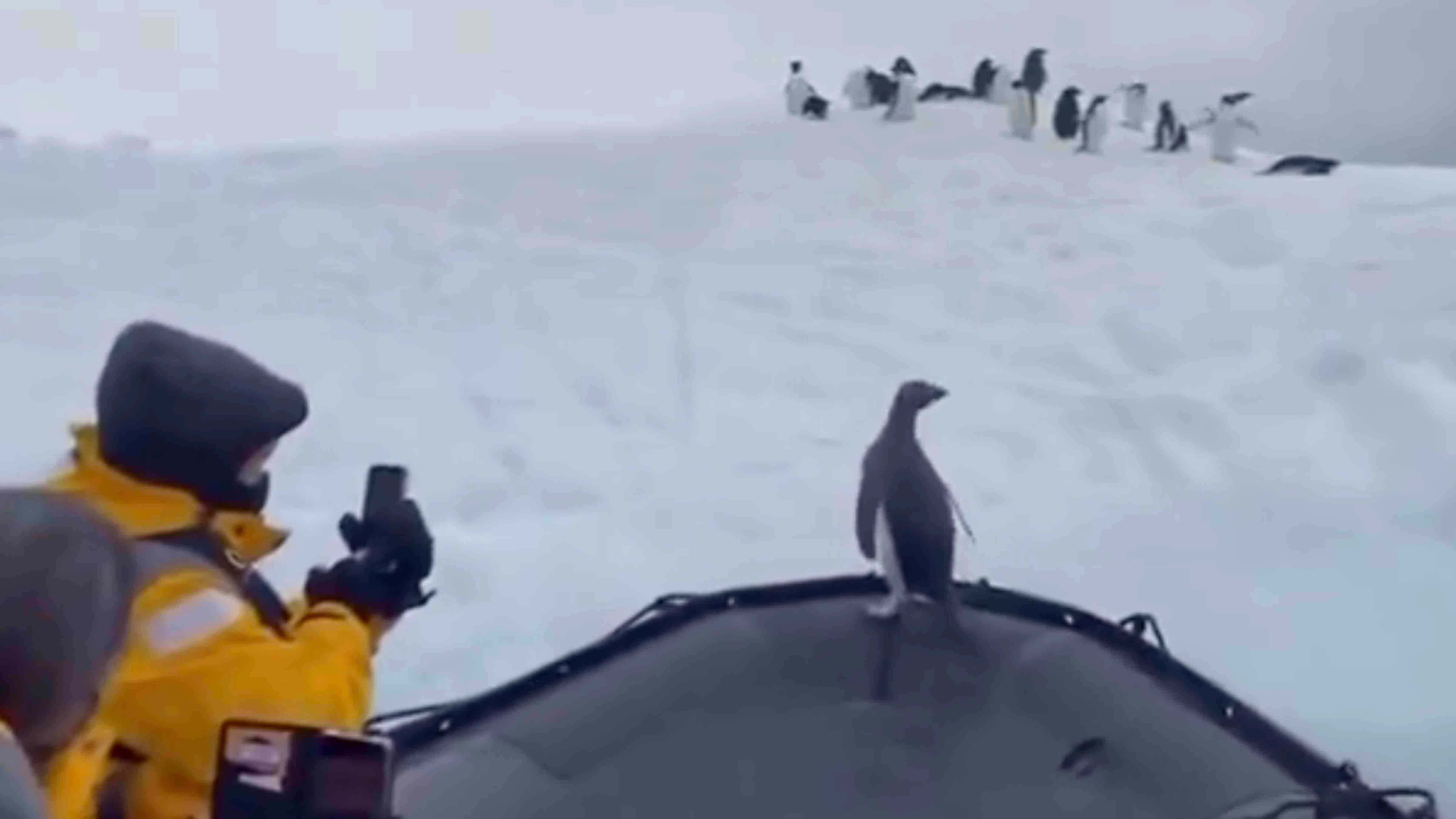 Bonus vid 2 10 10 25