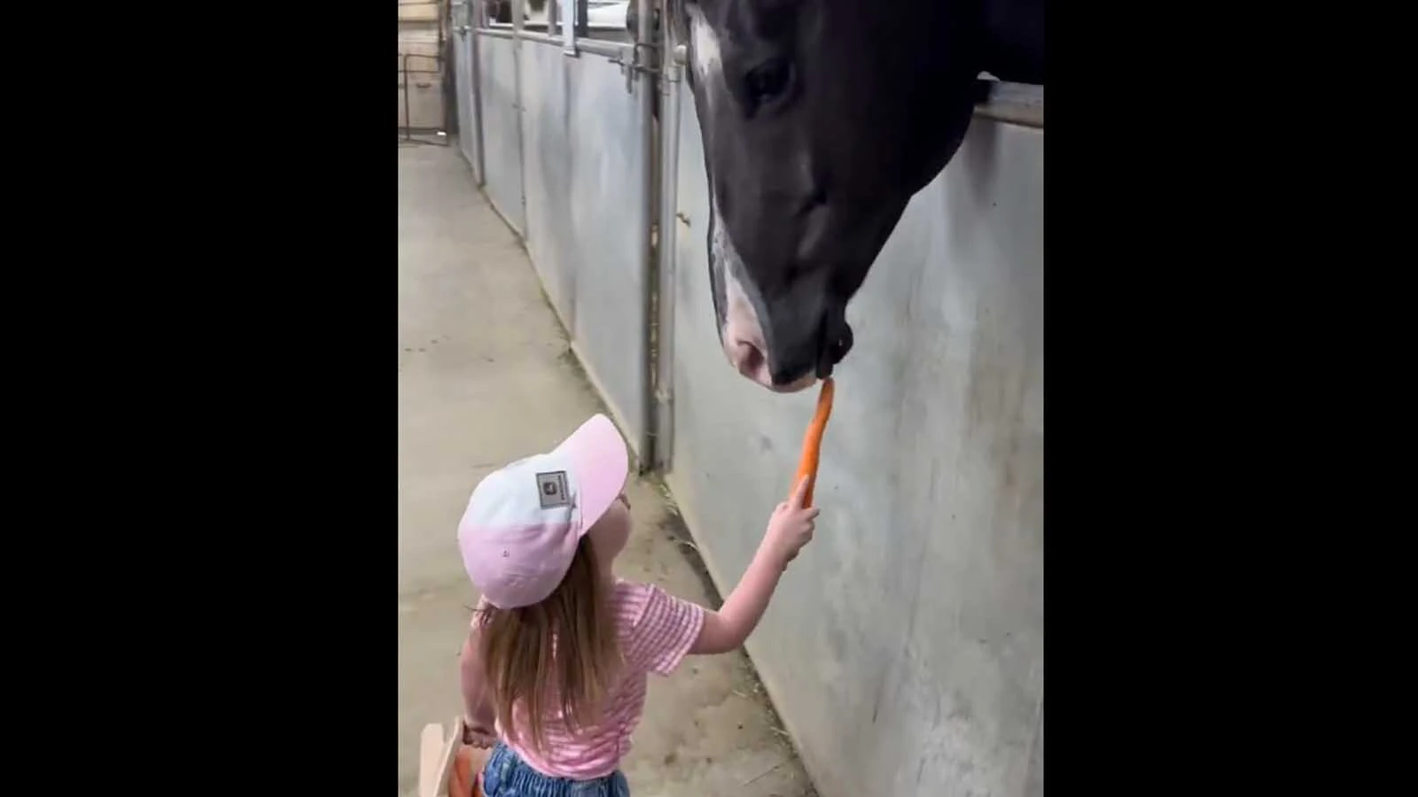 Bonus vid 2 10 15 25